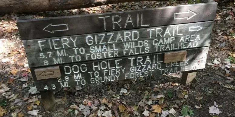 Wooden trail sign indicating directions and distances to Fiery Gizzard Trail and Dog Hole Trail in a forest setting.