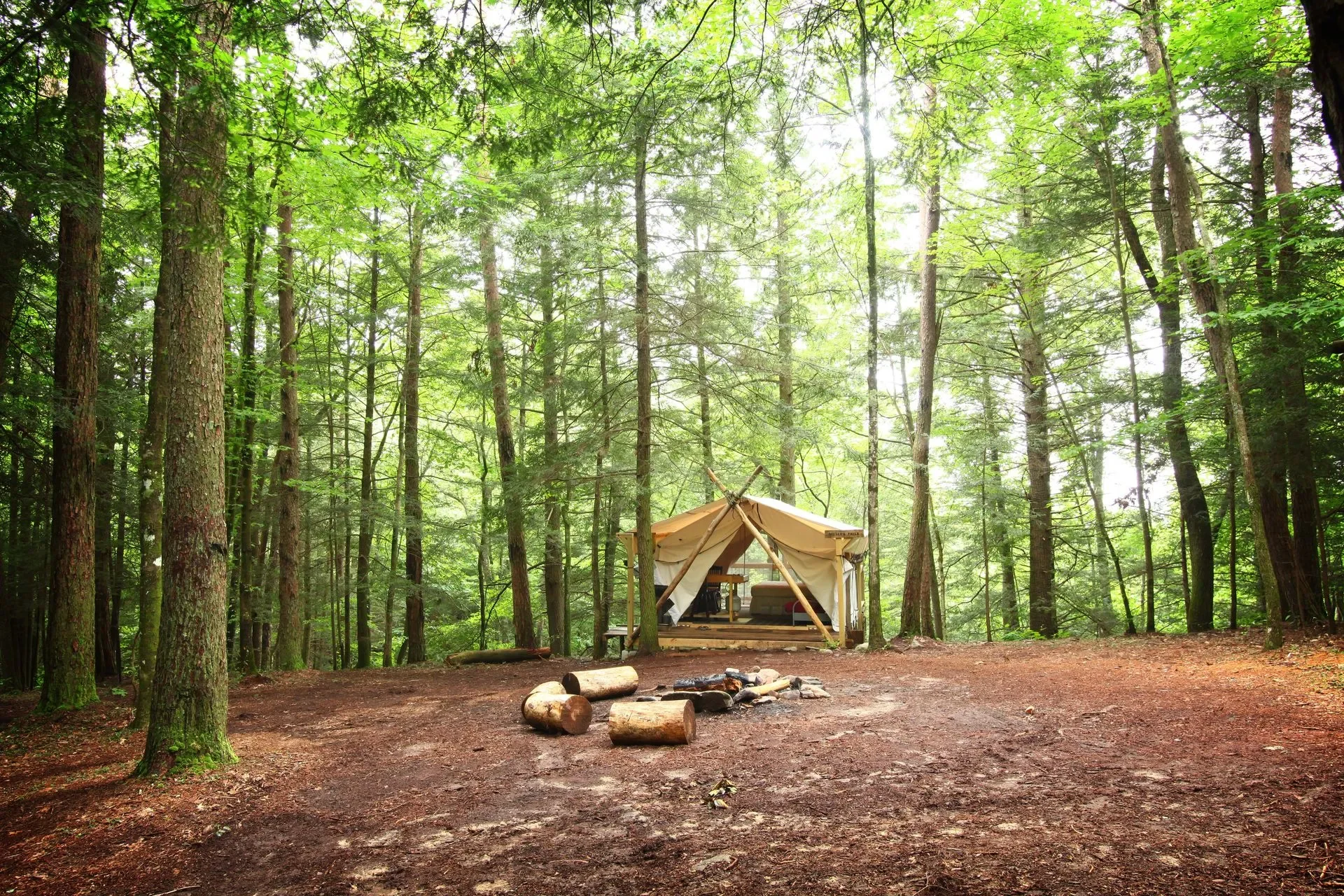A cozy tent set up in a lush green forest with tall trees and a dirt ground, a small campfire ring with logs in front of the tent.