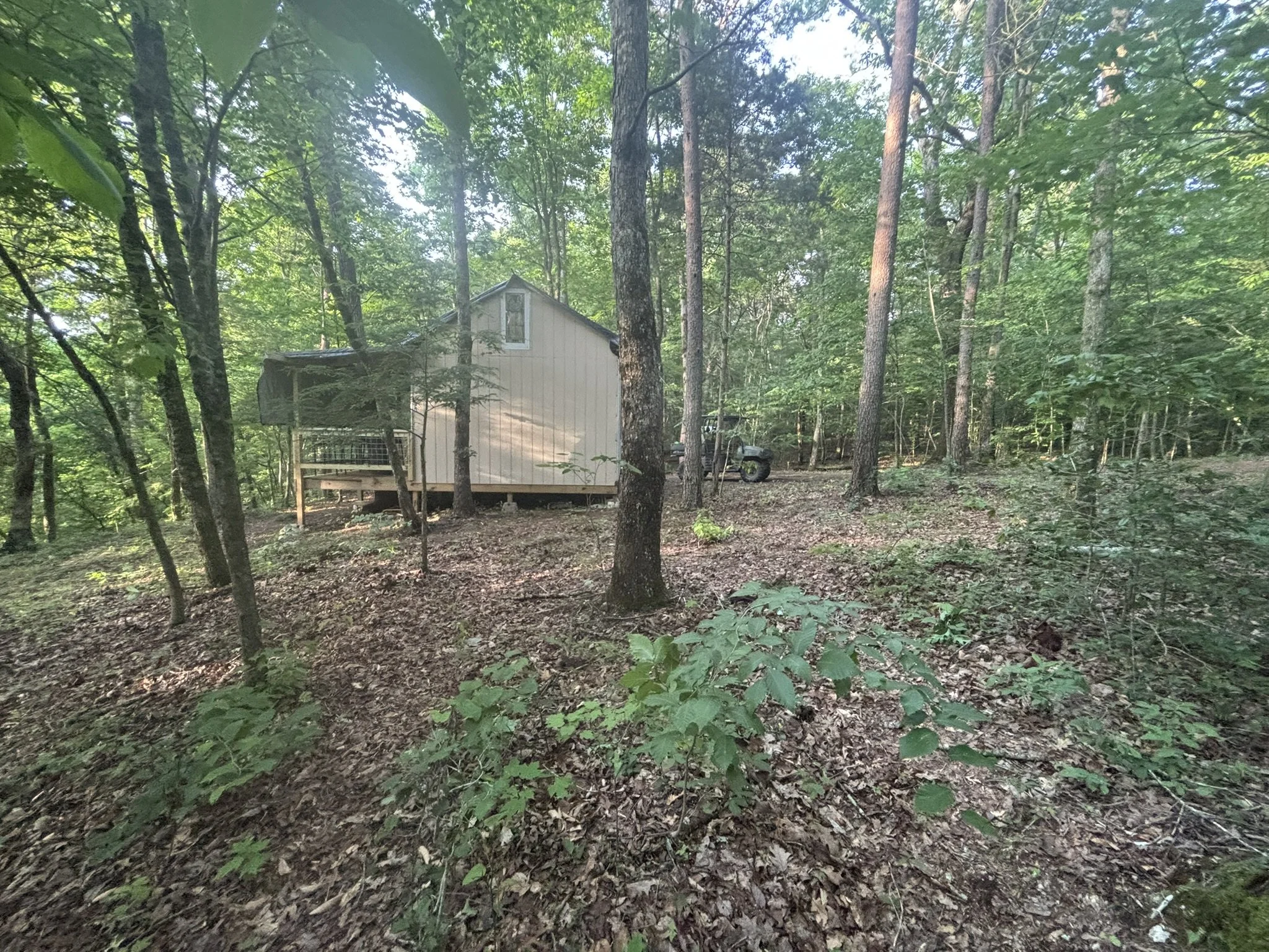 Privacy in the Woods