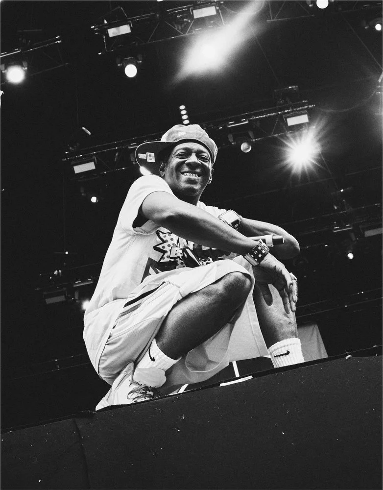 2013_PublicEnemy_40x50.JPG