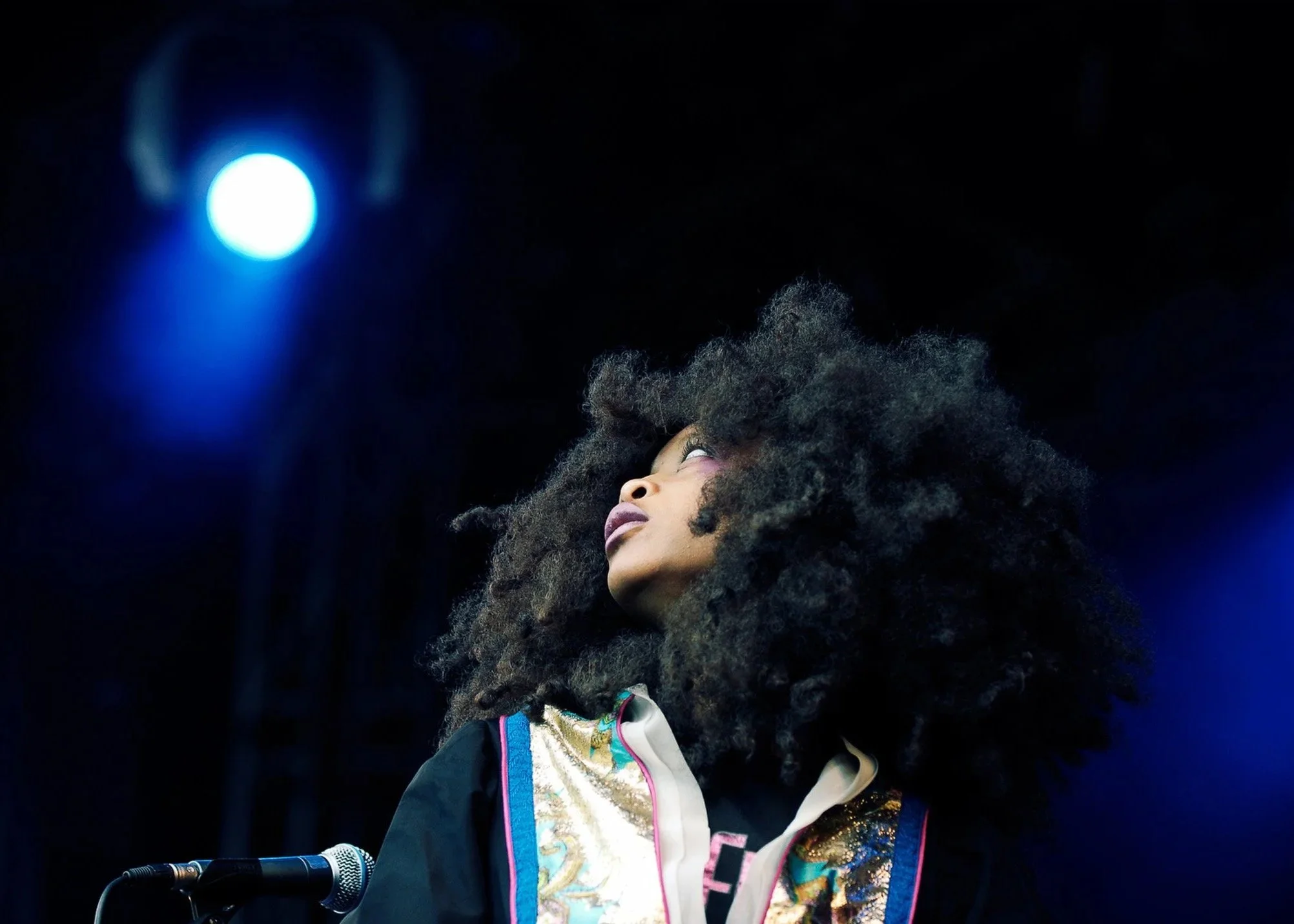 erykah_badu_incolor.jpg