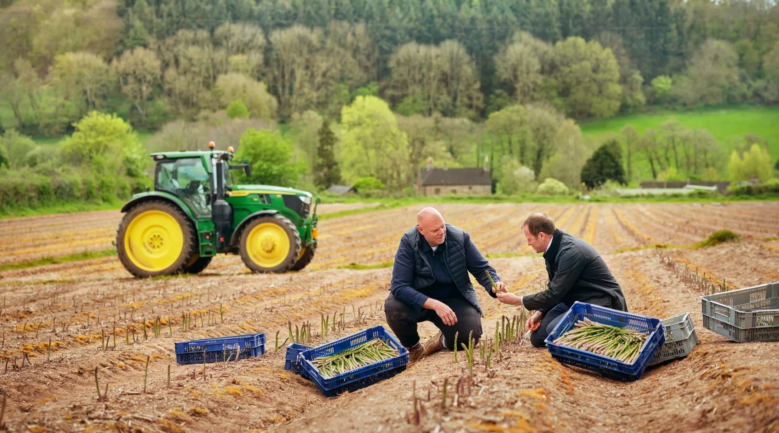 Two men kneeling in a field of young asparagus, with crates of harvested asparagus and a green tractor in the background, surrounded by rolling green hills and sparse trees.