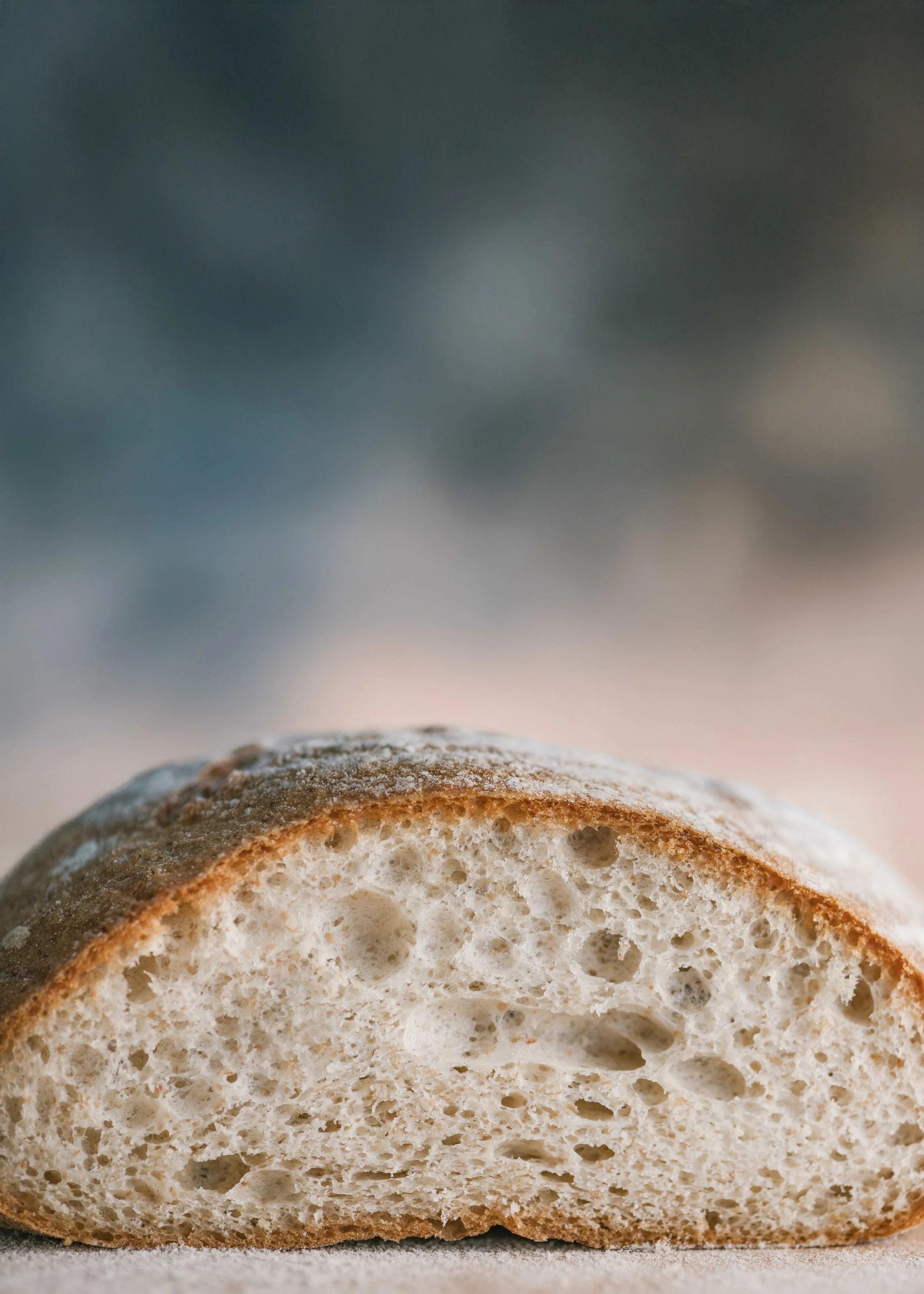 Capture One Session0126 web .jpg