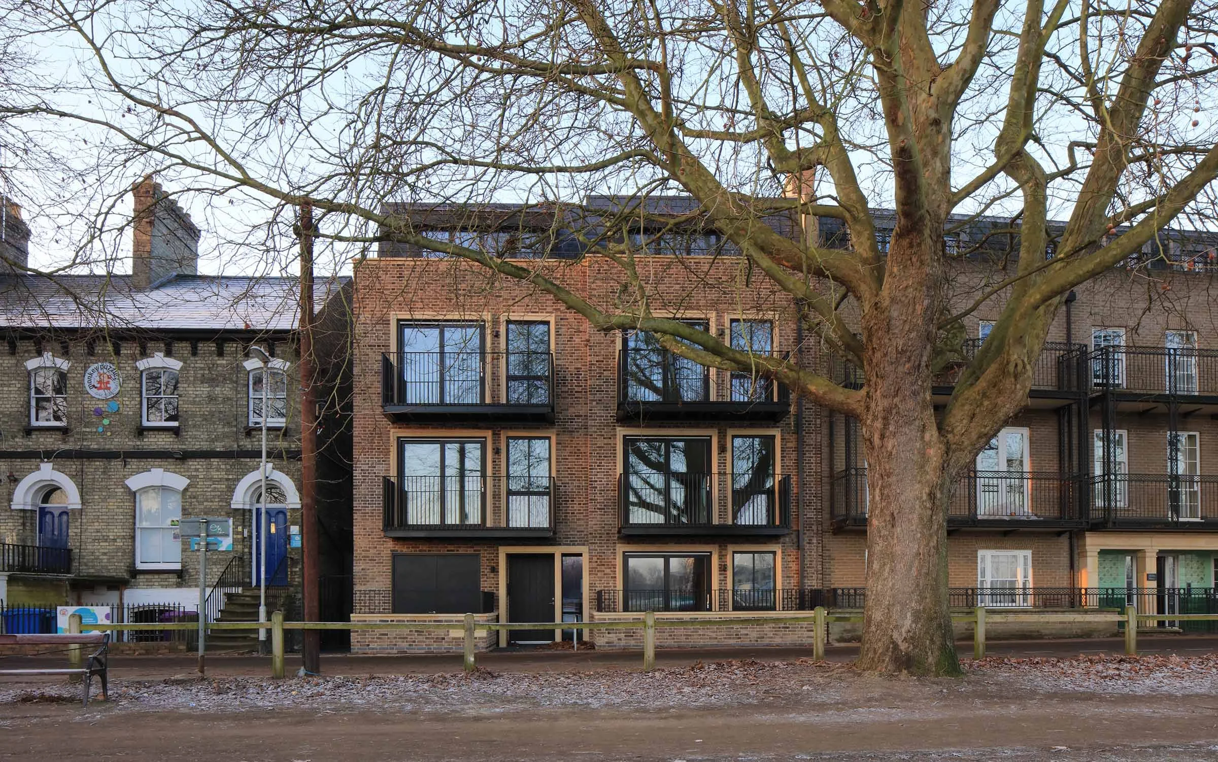 A city street scene with a large leafless tree in the foreground and a row of older and modern brick apartment buildings behind it. The buildings have balconies and windows, with some shops and amenities at ground level.