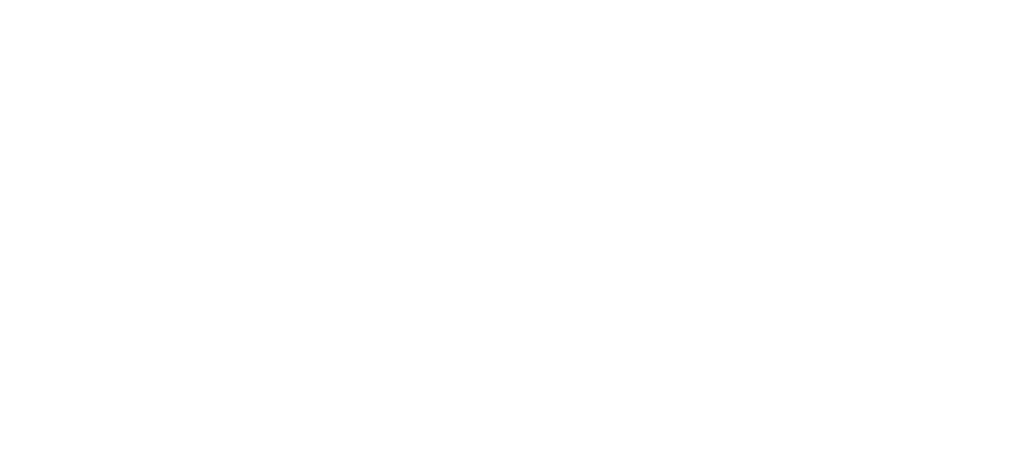 Bluebay Holdings