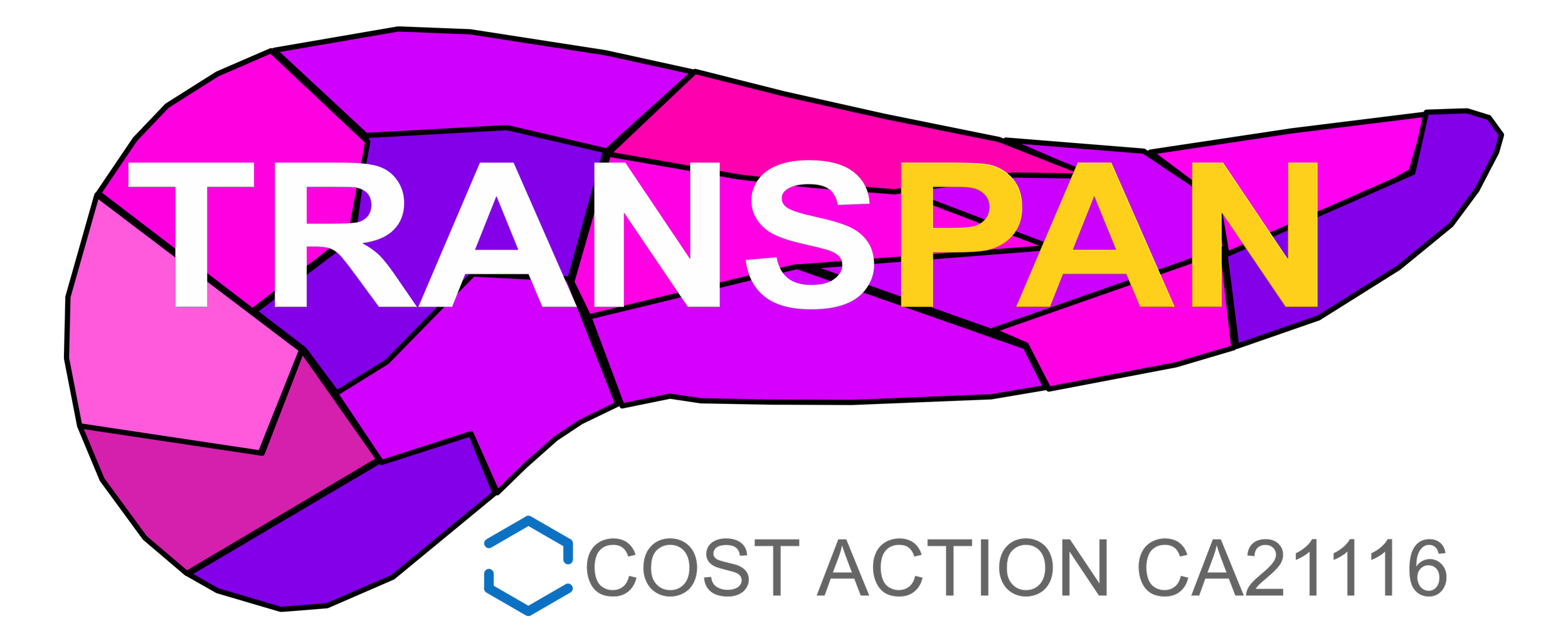 Colorful digital illustration with the word 'TRANSPAN' in bold letters across a stylized, multi-segmented bread or chip-like shape, with purple, pink, and yellow hues, and a small logo and text that reads 'COST ACTION CA21116' at the bottom.