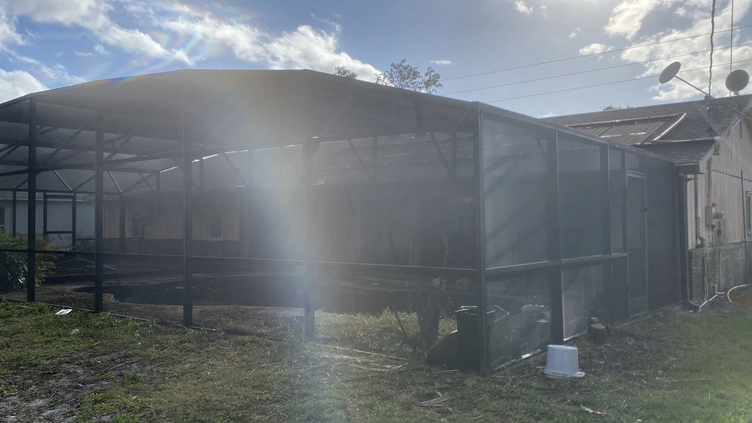 Backyard with a screened-in patio or gazebo, the sunlight glare obscures some details, and a house with a roof and some satellite dishes is visible in the background.