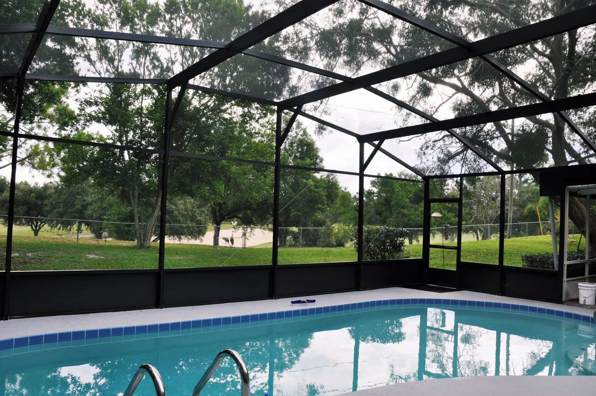 An outdoor swimming pool enclosed by a black metal screen with a scenic view of trees and a lake in the background.
