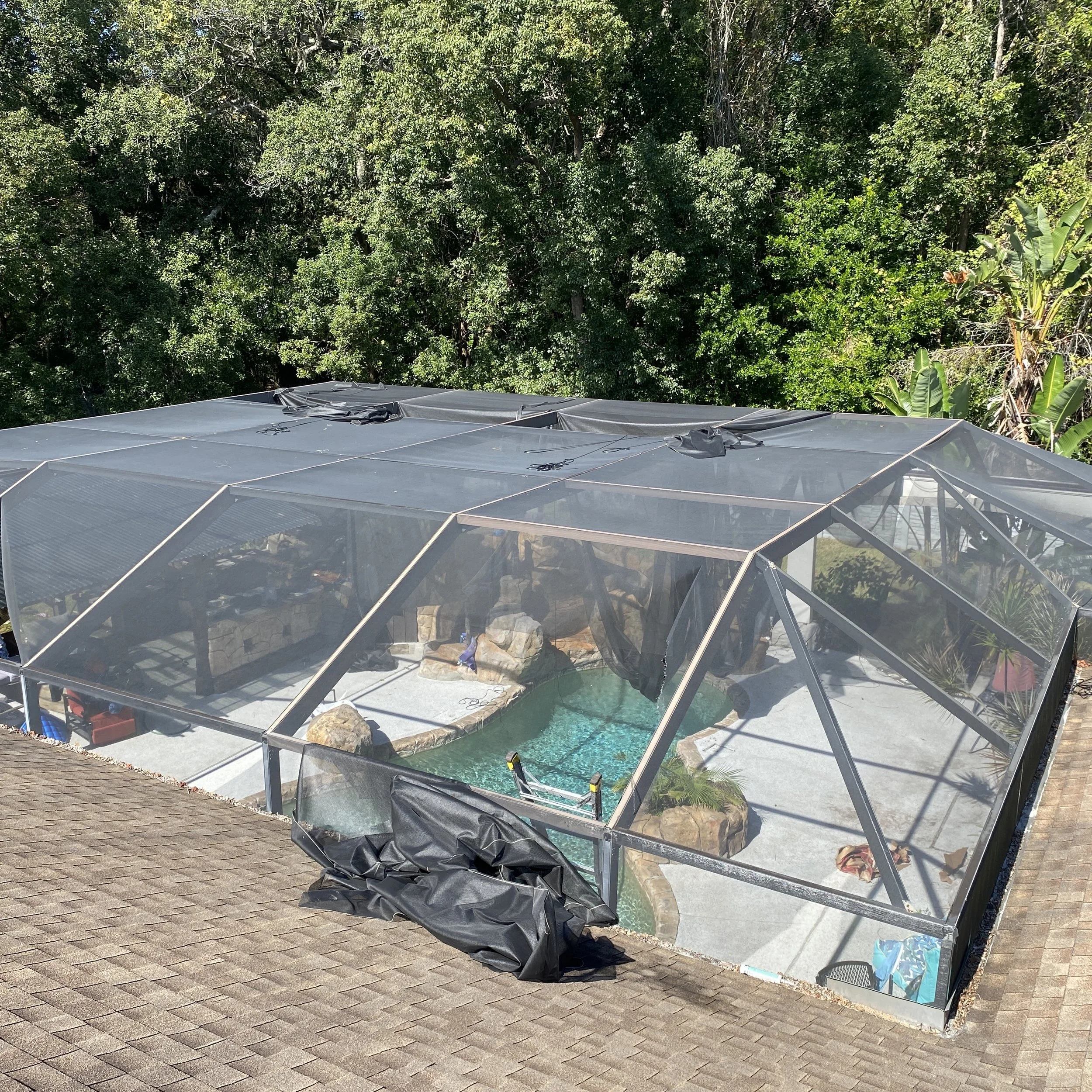 A backyard with a swimming pool enclosed by a screened structure, surrounded by trees and greenery.