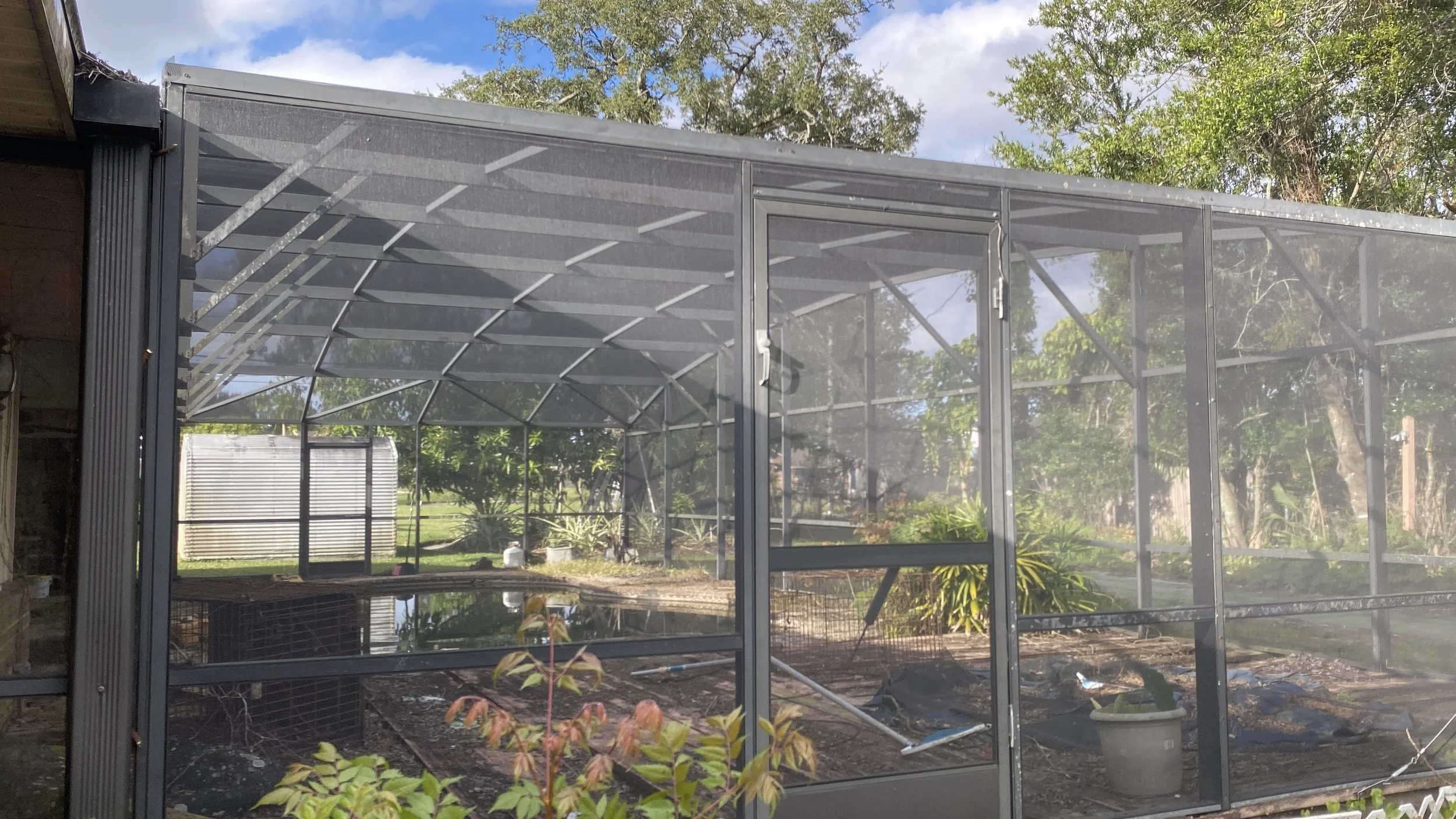 A screened enclosure with a metal frame, situated in a backyard with trees and greenery in the background, likely a garden or greenhouse area.