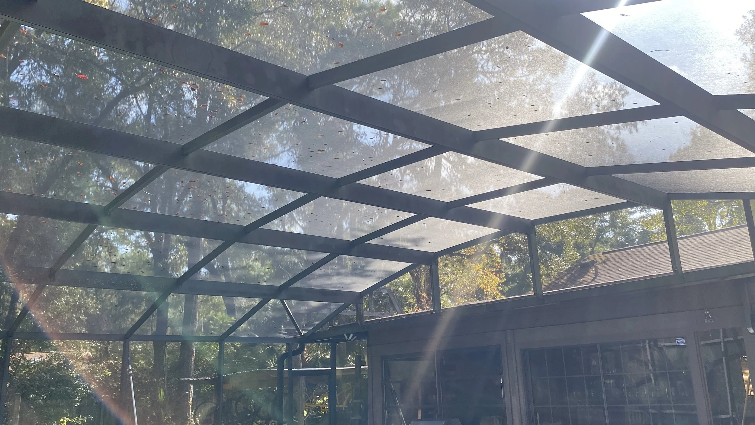Backyard screened porch with metal framing, sunlight shining through, trees and a shed with a window in the background.