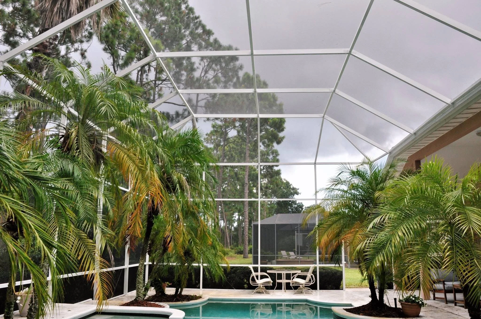 A screened-in backyard with a swimming pool, tropical plants including palm trees, and outdoor furniture, under a cloudy sky.