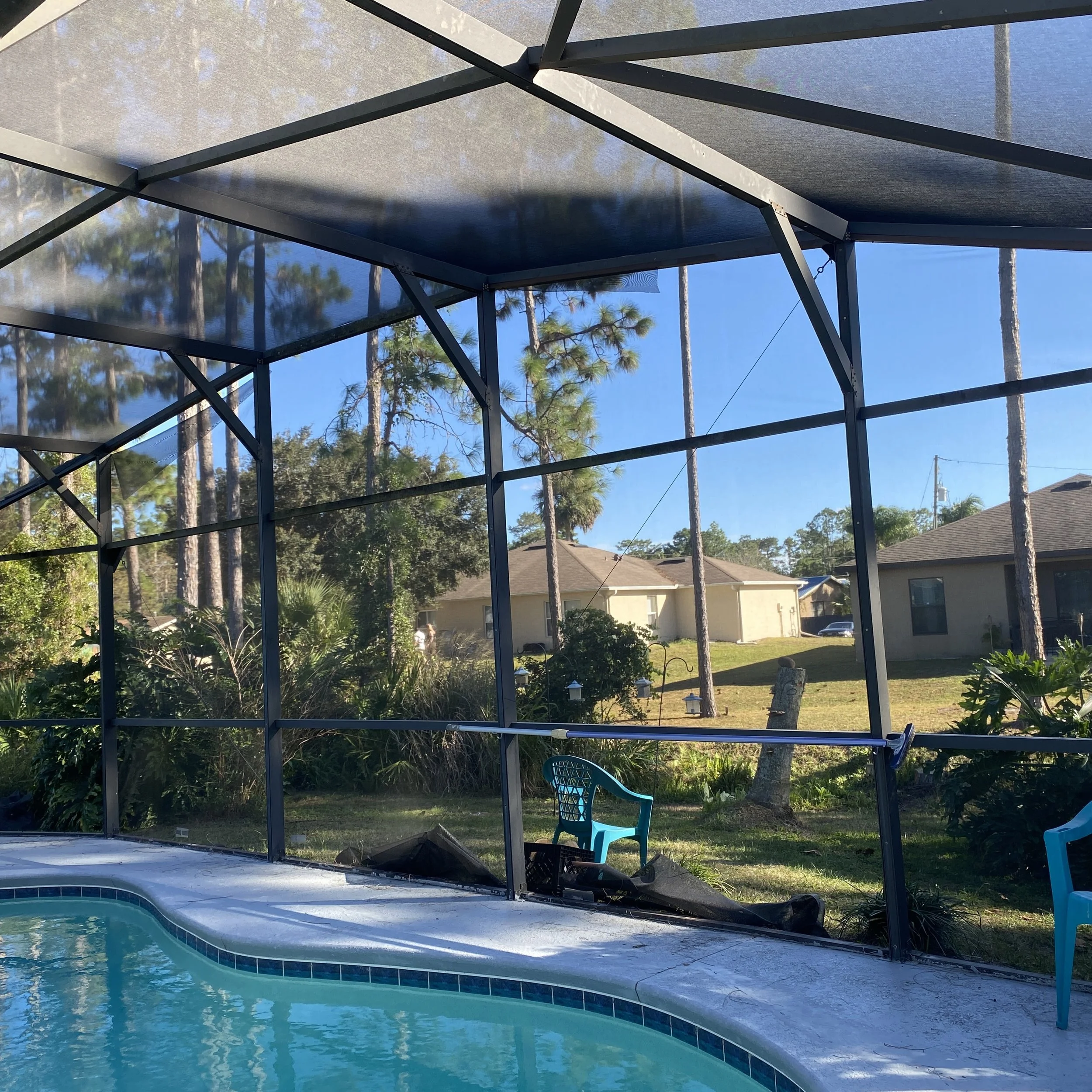 View of a backyard swimming pool enclosed by a screen structure with visible metal framing. Outside the enclosure, there are trees, bushes, and neighboring houses under a clear blue sky.
