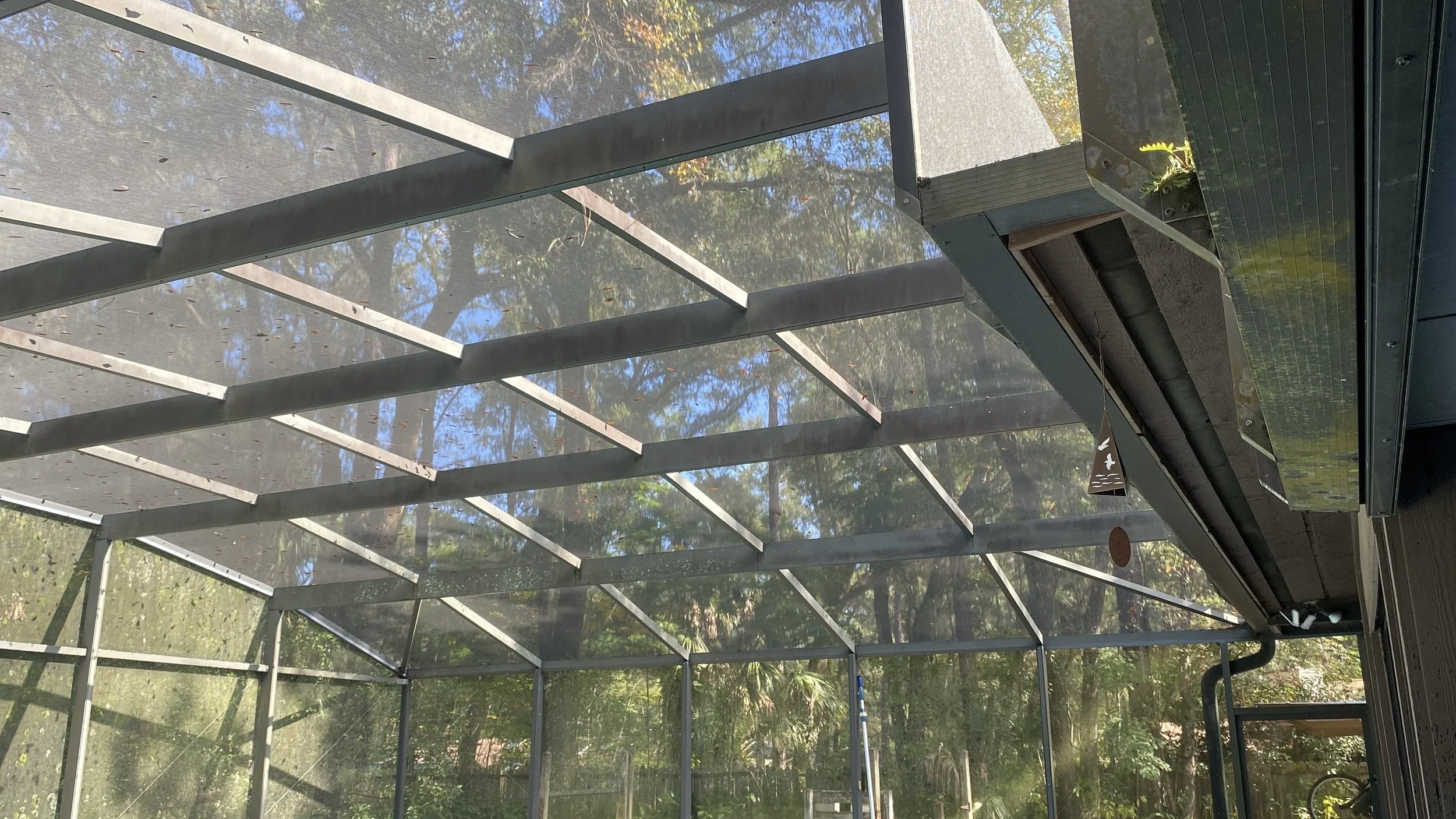 A screened-in outdoor patio with a transparent roof, wooden beams, and a garden view with trees in the background.