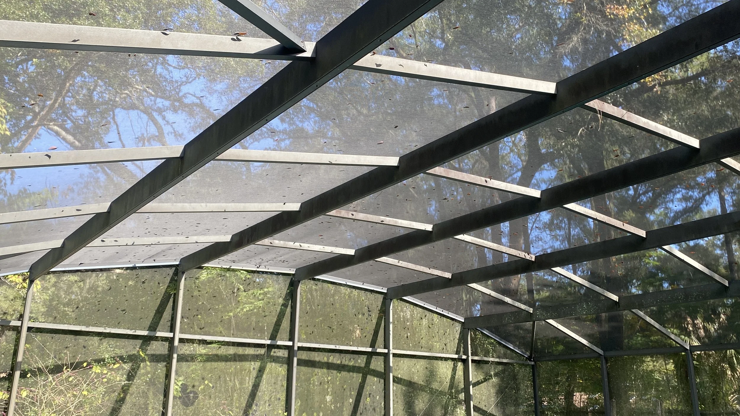 View of a screened outdoor patio or porch with a metal frame roof, showing trees and sky through the transparent ceiling panels.