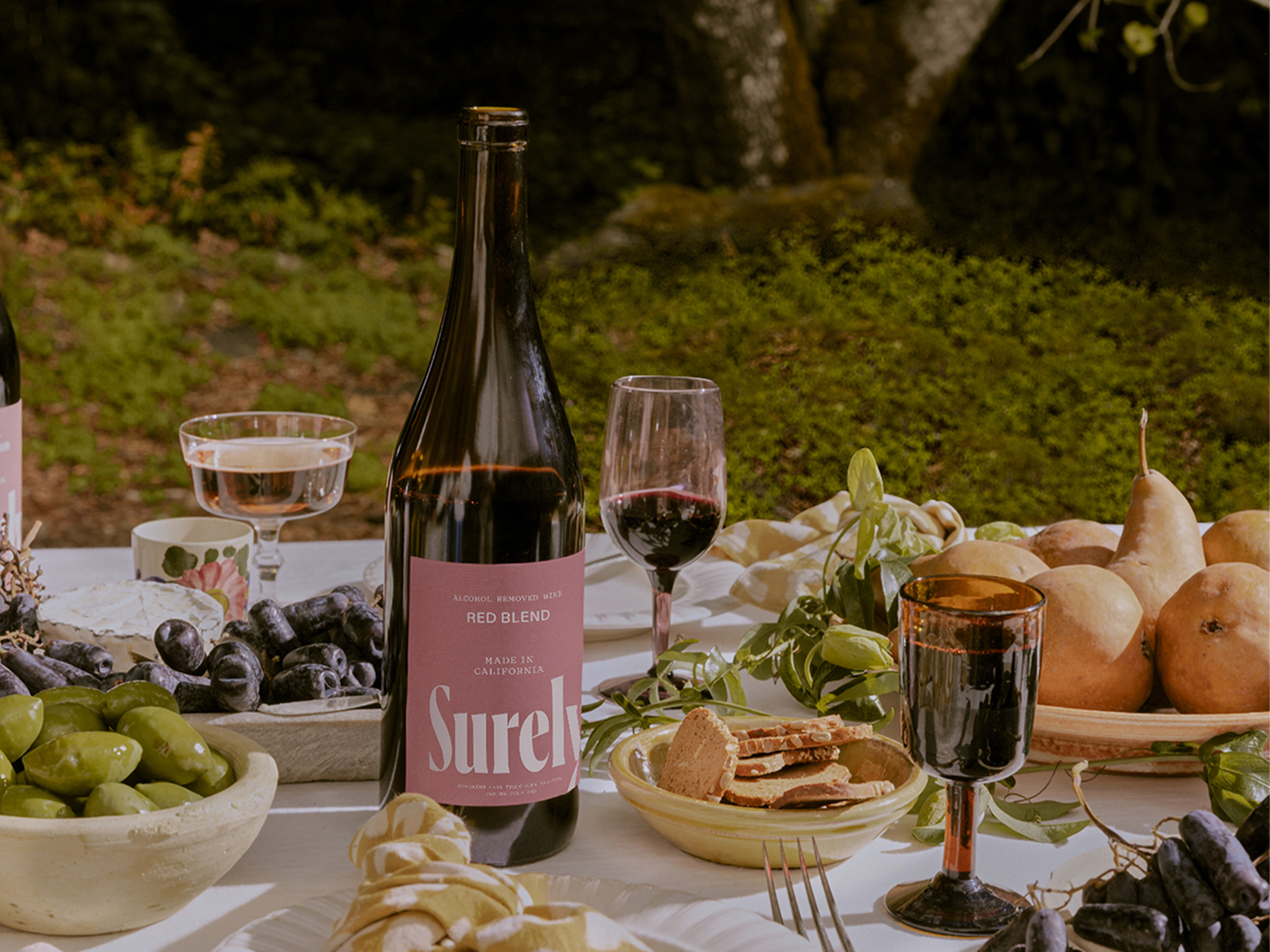 A table set outdoors with a bottle of red wine, two glasses of red wine, a glass of water, various fruits including grapes, pears, and pomegranate, a cheese platter, a bowl of crackers, and greenery, with a natural outdoor background.