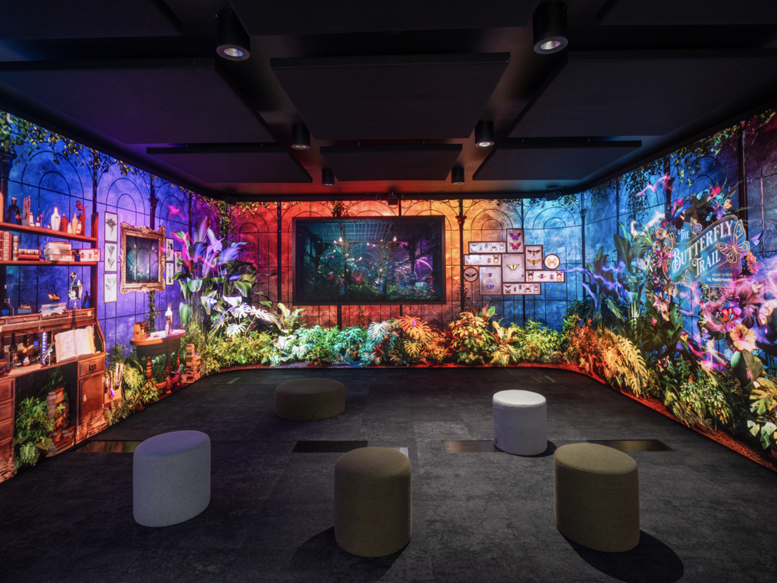 A room with vibrant, colorful walls featuring a butterfly and jungle theme, with various plants, framed pictures, and a television screen at the center. There are several round stools in the room.