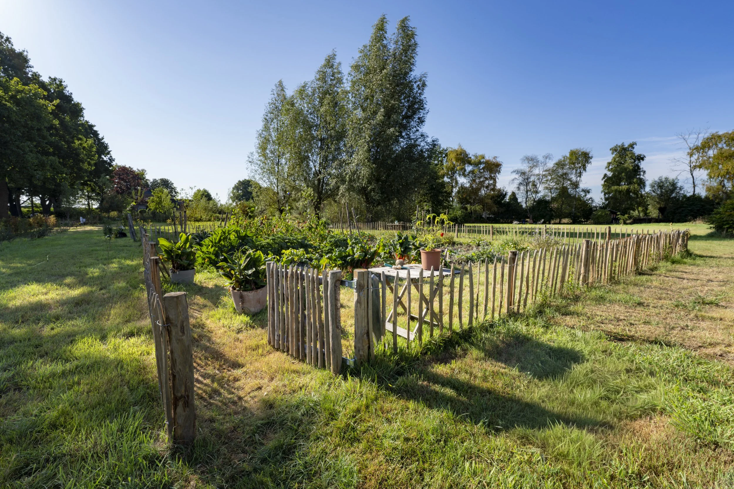 A fenced vegetable garden with potted plants and lush green trees in the background, sunny sky, and well-maintained grassy area.