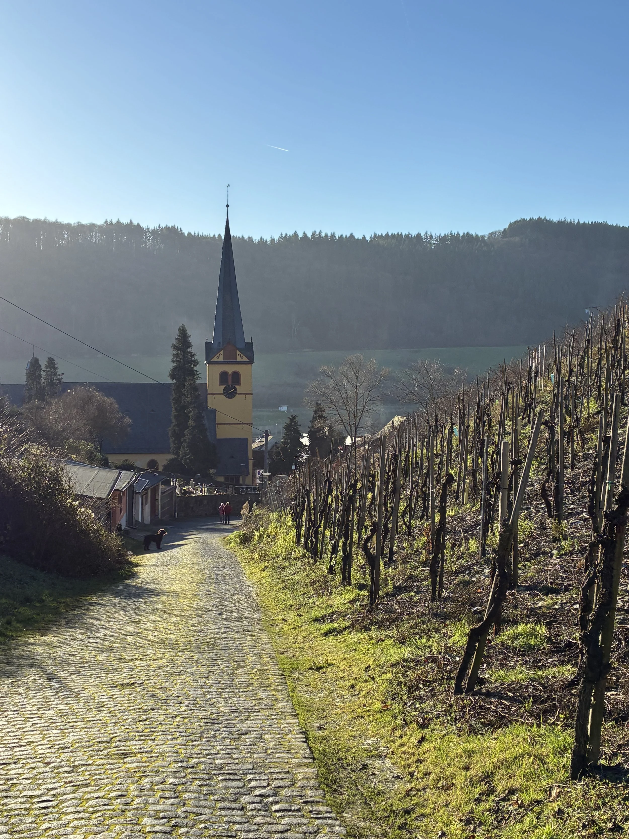A cobblestone road leading towards a church with a tall steeple in a rural area, vineyards on the right side, and trees and hills in the background under a clear blue sky.