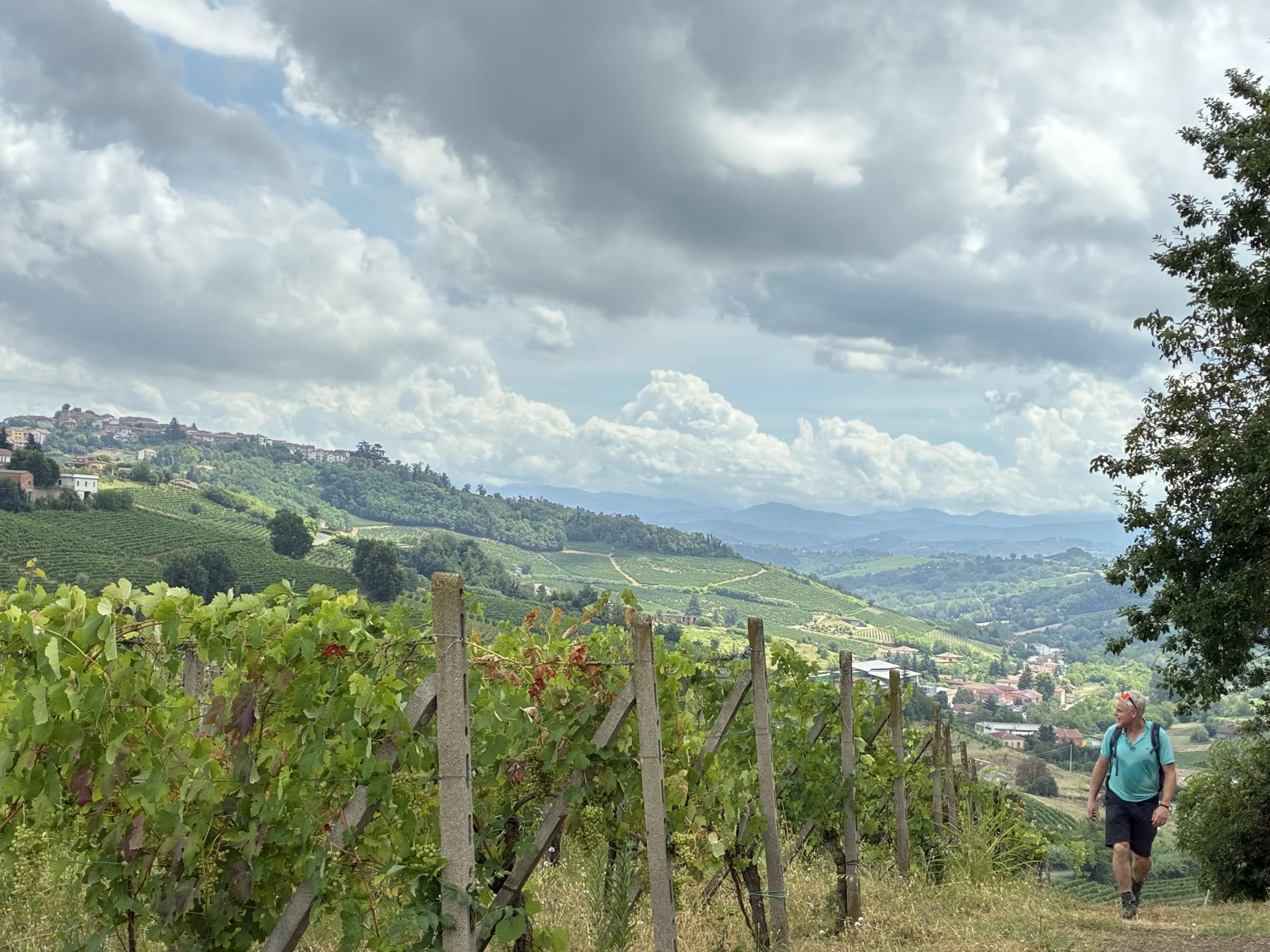 A man walking through a vineyard on a hilly landscape under a partly cloudy sky, with green hills and distant mountains in the background.