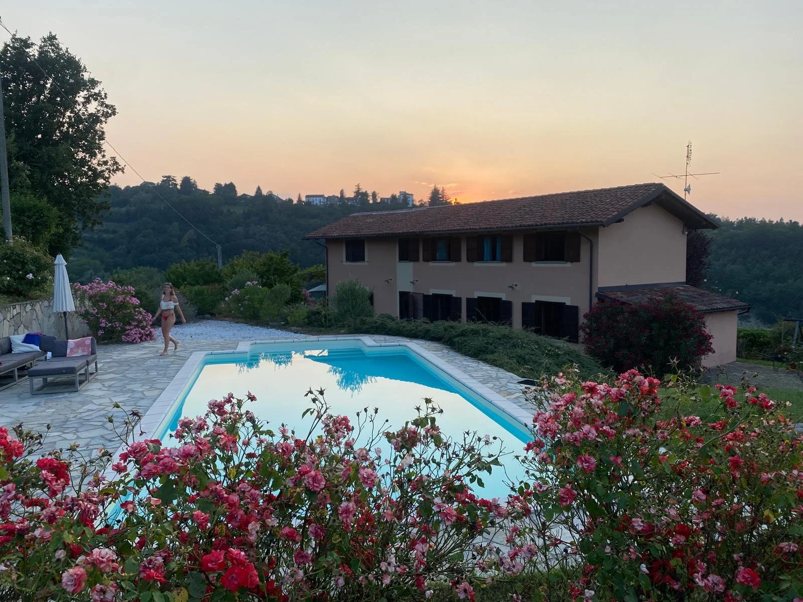 A backyard with a swimming pool, pink flowers in the foreground, a house in the background, and a person walking near pink bushes at sunset.