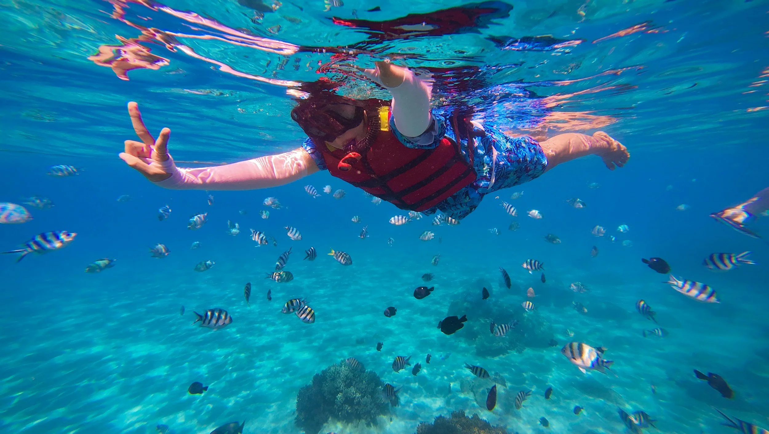 Child snorkeling underwater with a red life jacket, surrounded by colorful fish and coral.