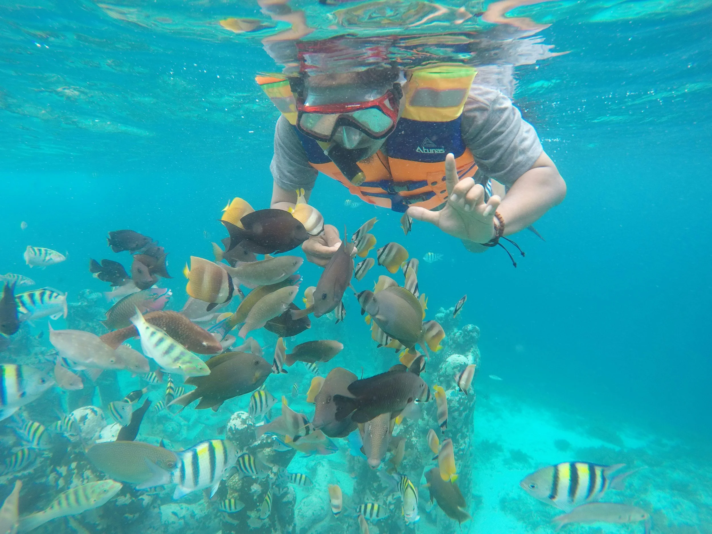 A person wearing snorkeling gear, a life jacket, and a gray shirt snorkeling underwater surrounded by colorful tropical fish.