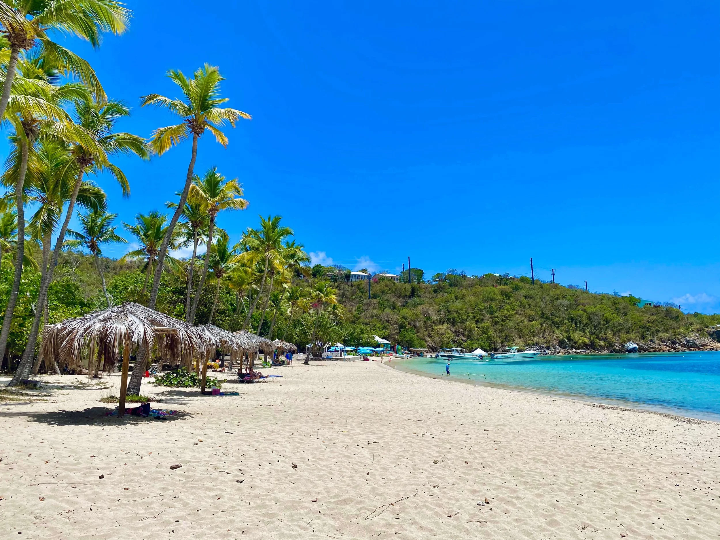 A tropical beach with palm trees, thatched umbrellas, and clear blue water.
