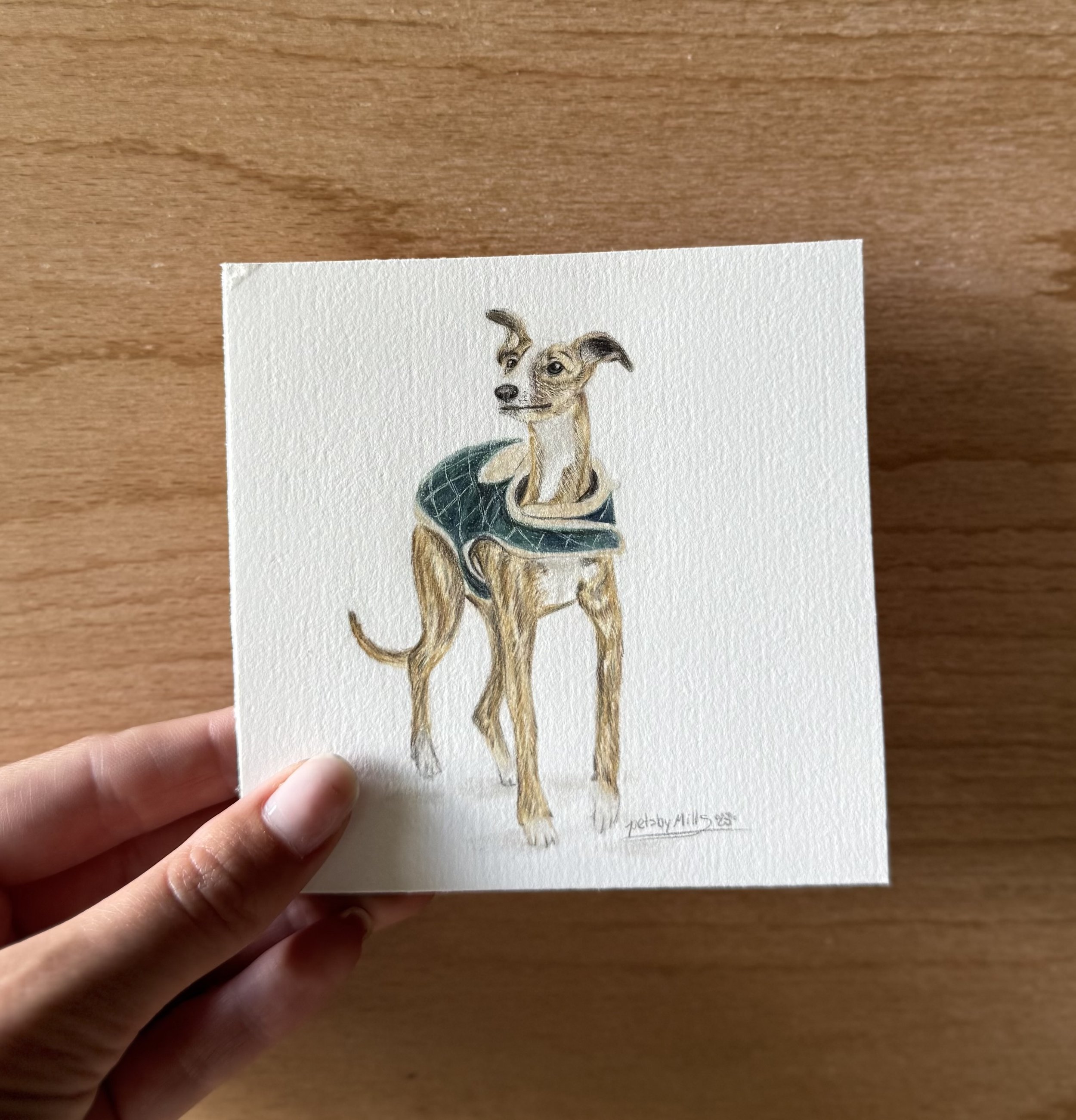 Tutorial by Becca Barron