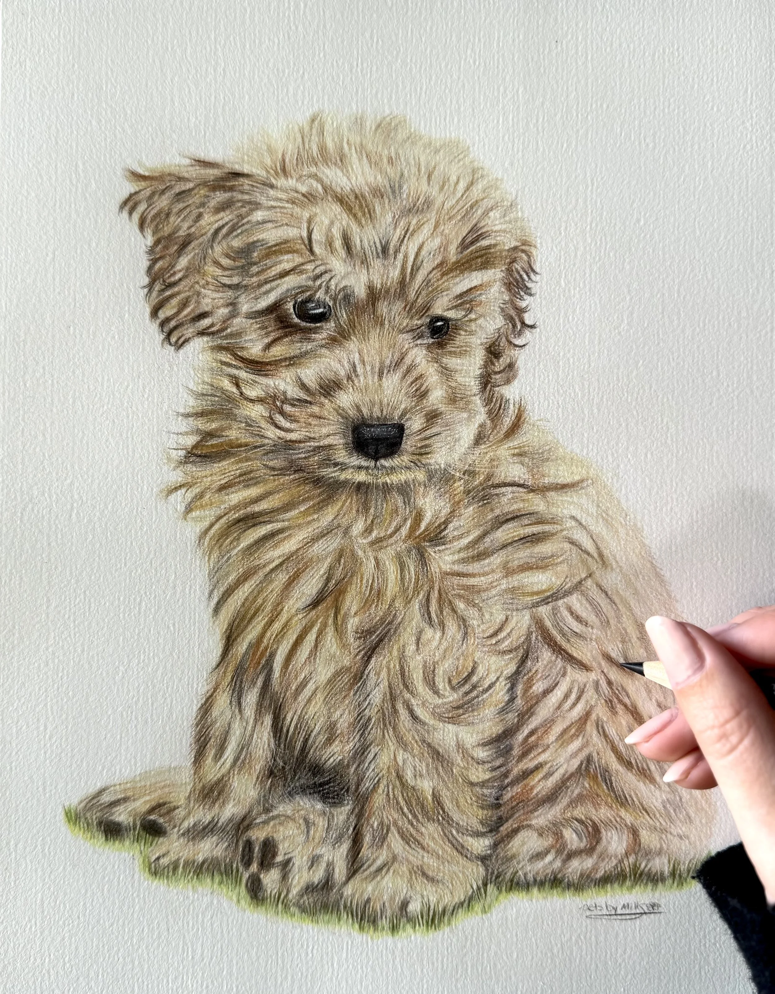 Tutorial by Becca Barron