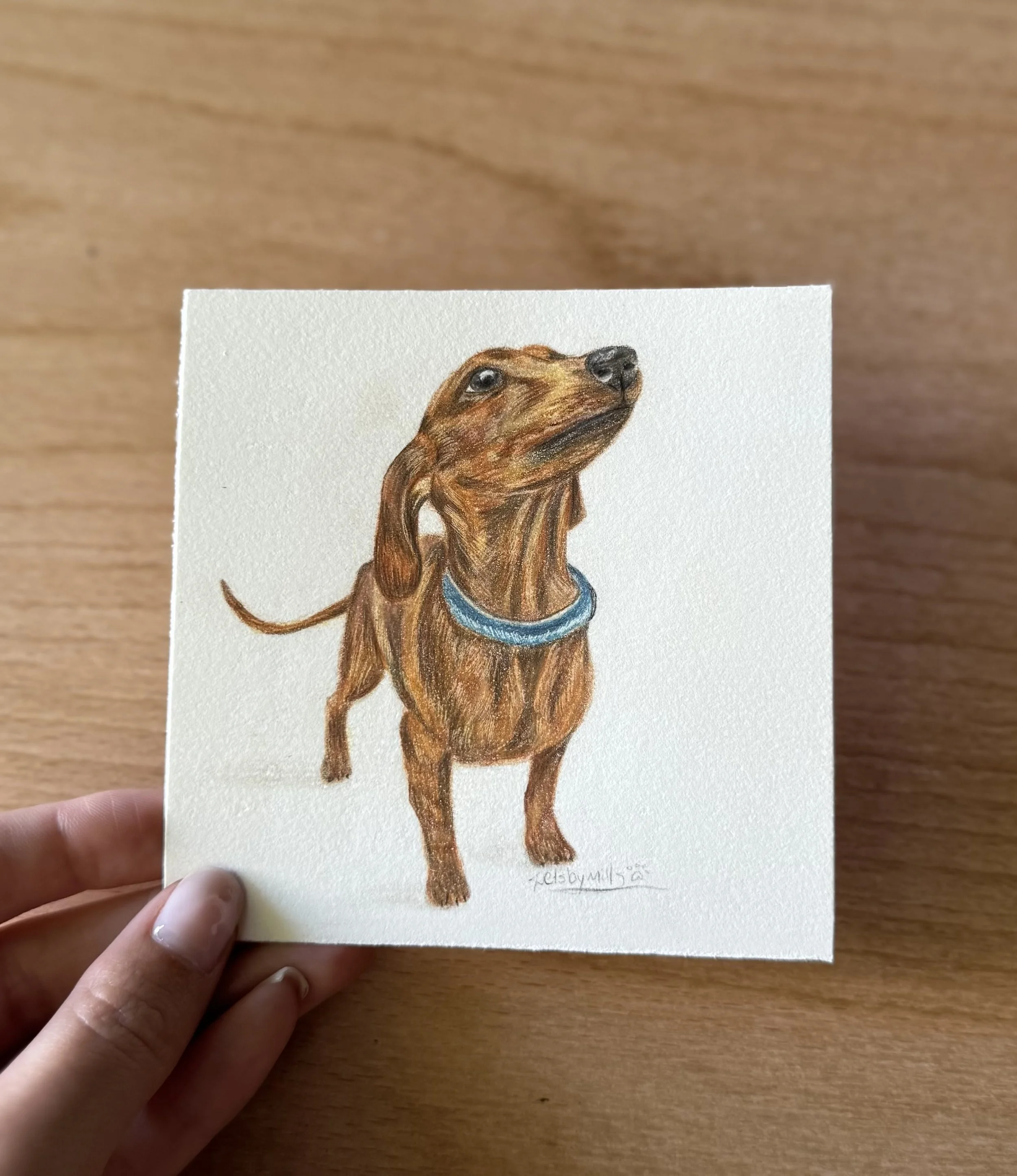 Tutorial by Becca Barron