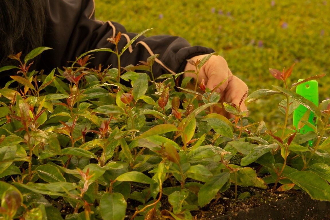 WhatsApp Image 2025-12-04 at 09.30.56.jpeg