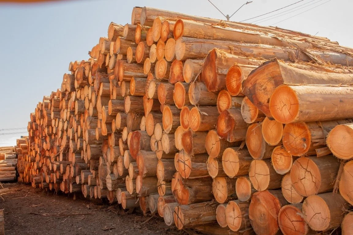 WhatsApp Image 2025-12-04 at 09.30.56 (4).jpeg