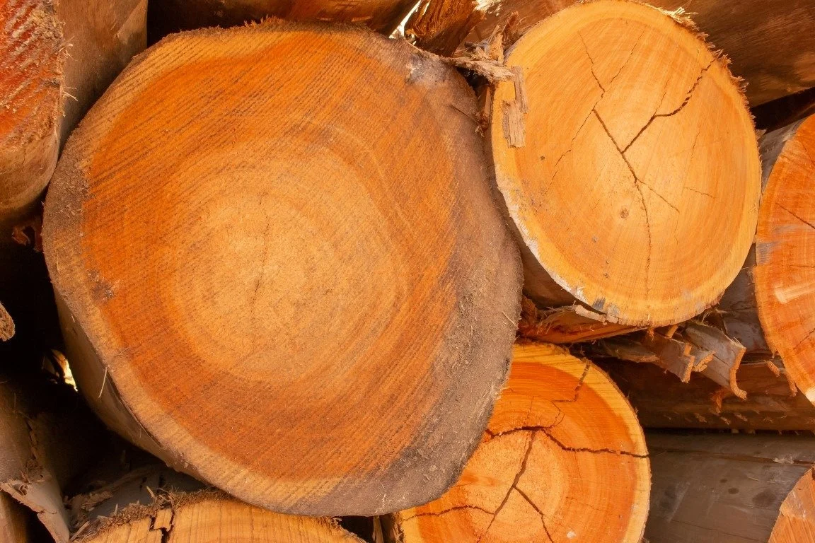 WhatsApp Image 2025-12-04 at 09.30.56 (5).jpeg