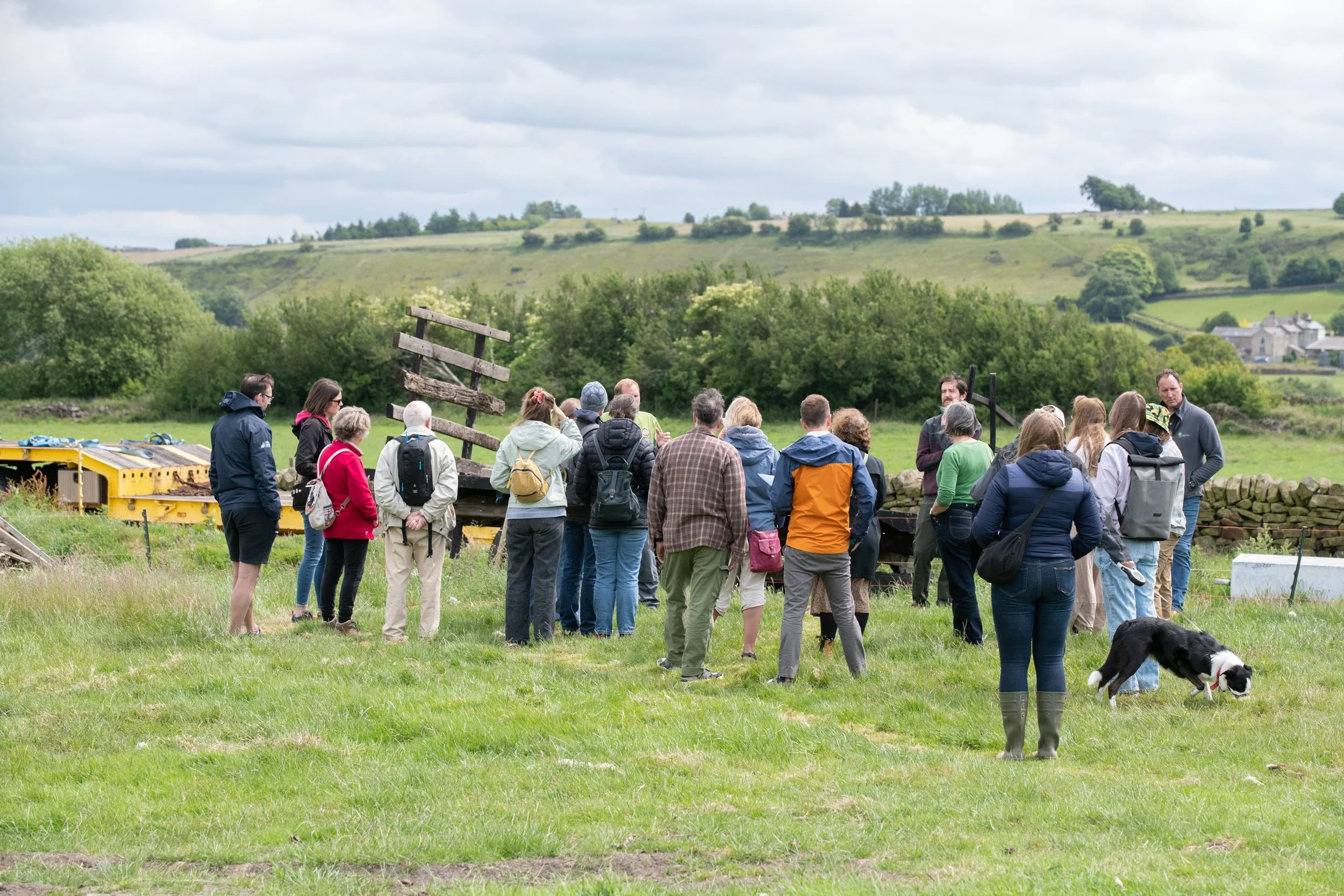 Meet us in Greenhill