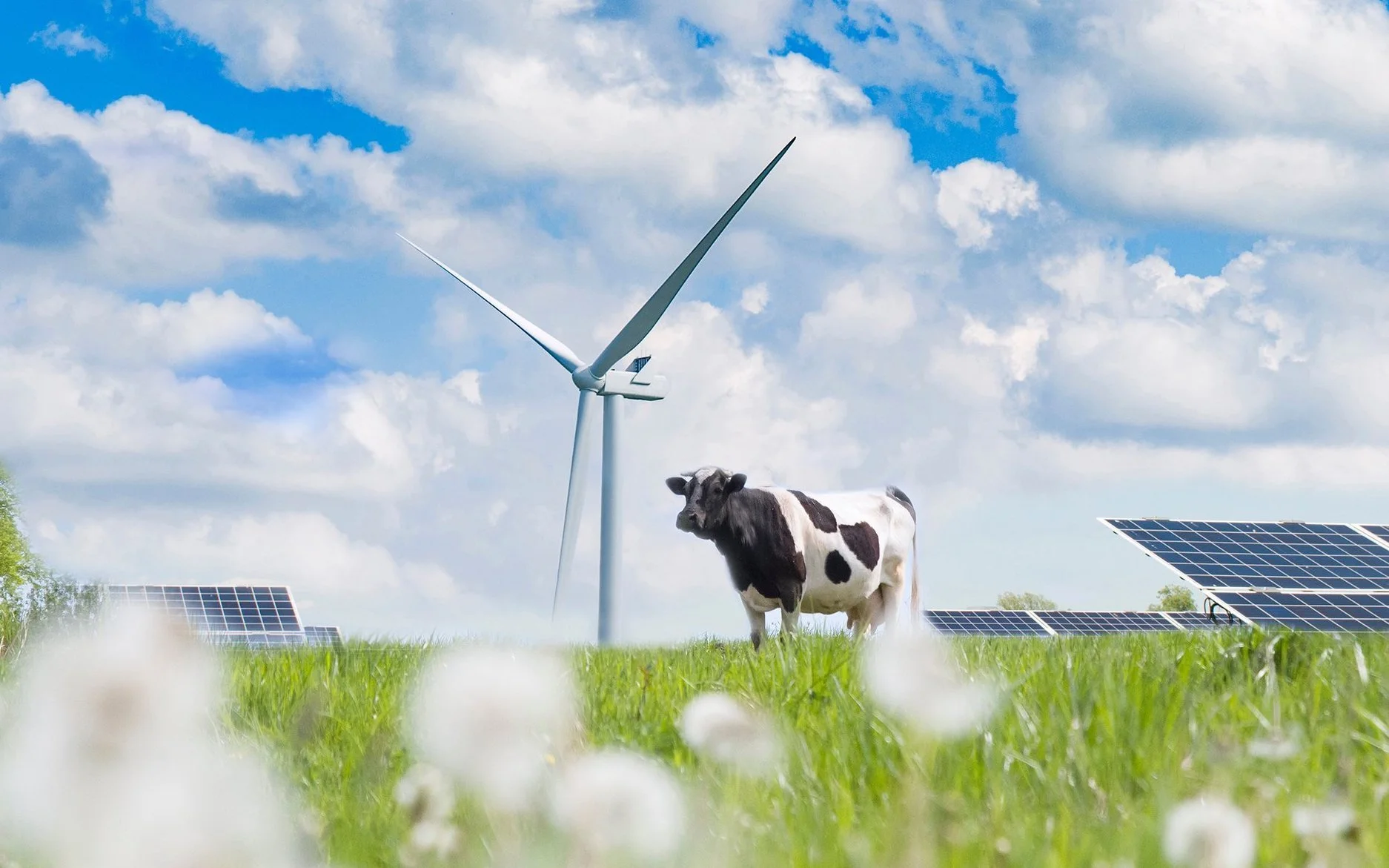 Open Farm Sunday 8th June