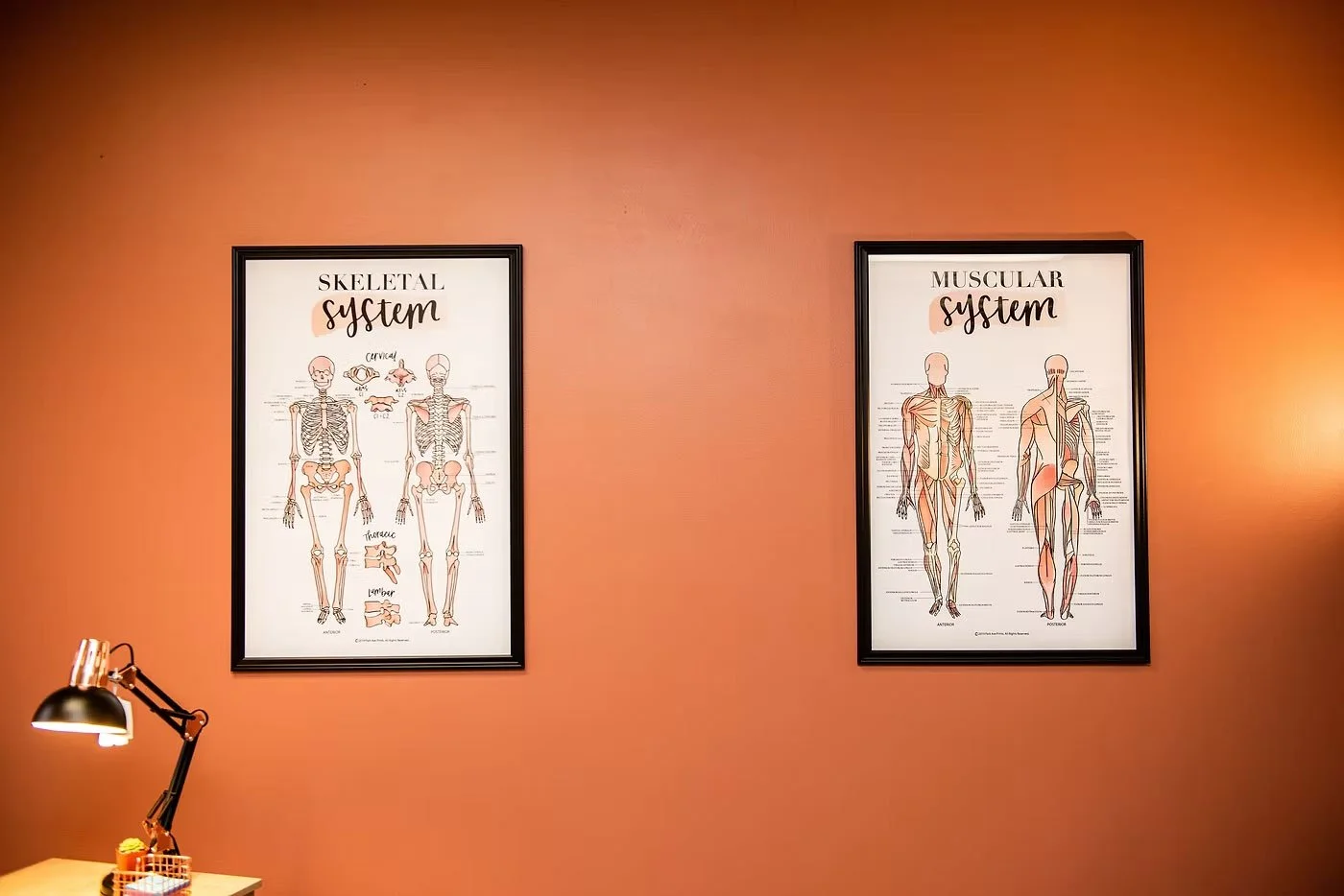 What is the Nervous System and what does it do?