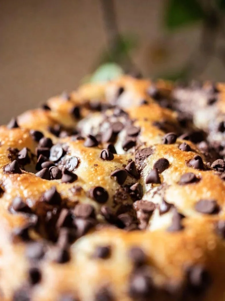 chocolate+chip.jpg