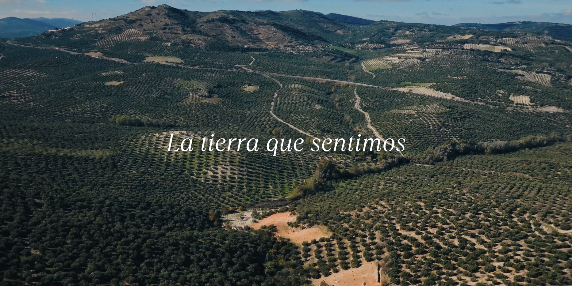 Captura de pantalla 2026-02-27 a las 15.53.13.png
