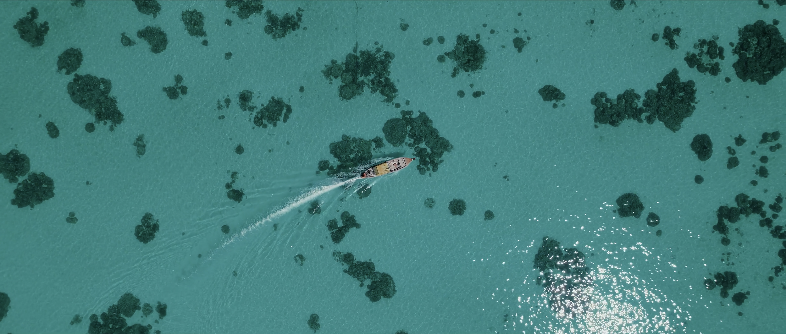 Captura de pantalla 2026-01-01 a las 21.21.56.png