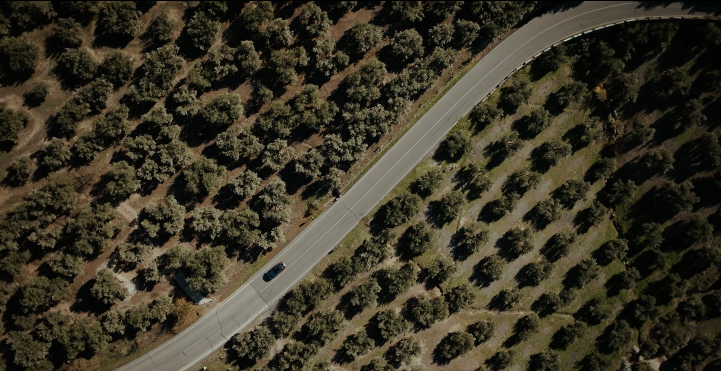 Captura de pantalla 2026-01-01 a las 19.07.06.png