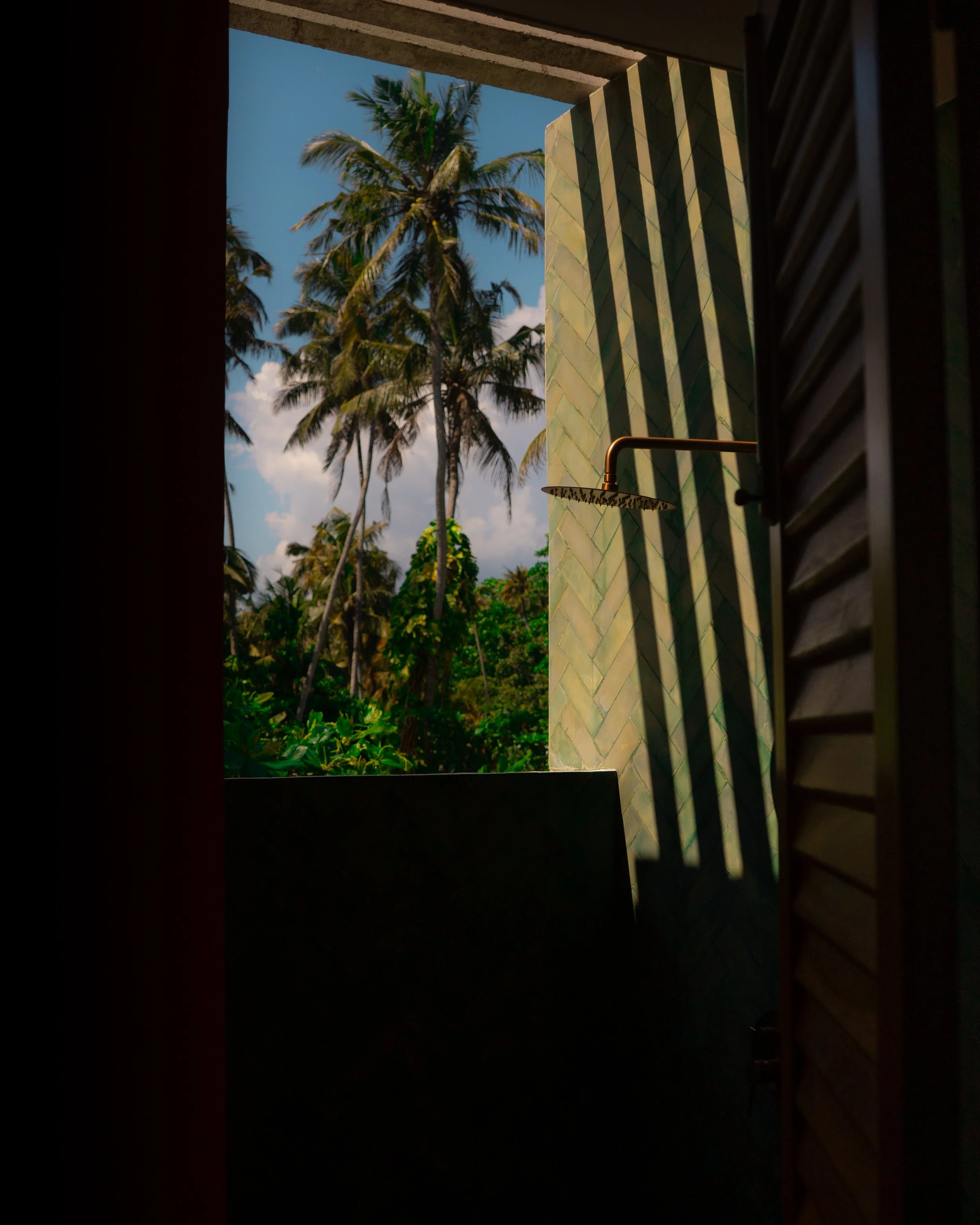 Open bathroom shower door with view of lush tropical trees and blue sky outside.
