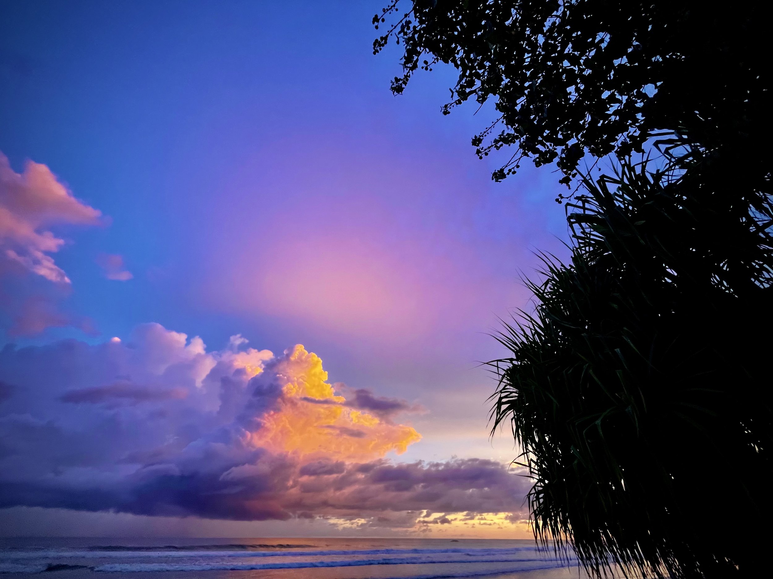 A vibrant sunset over the ocean with a purple sky, clouds illuminated in pink and orange, and silhouettes of trees in the foreground.