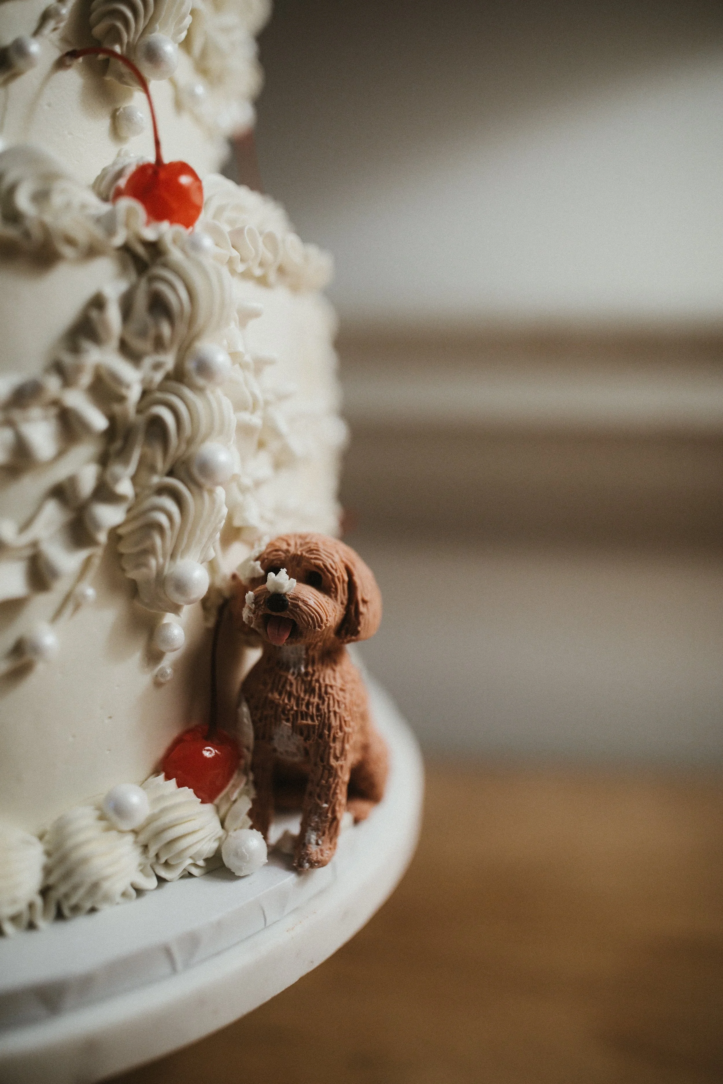 Tide-The-Knot-Wedding-Planning-Boconnoc-Estate-Wedding-Estate House-Partial Planning-Allie+Eden-Ash-Powell-Photography465.jpg