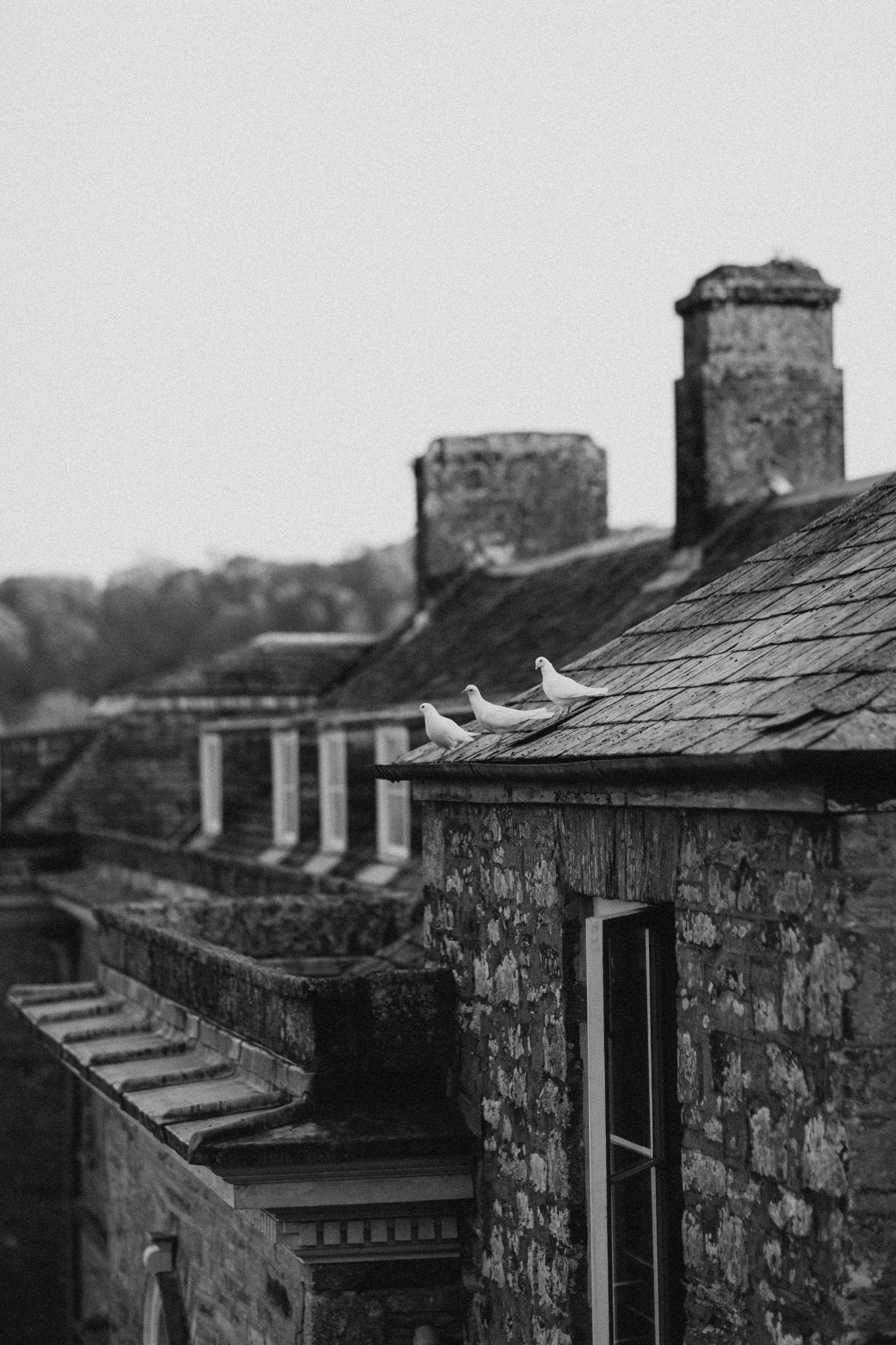 Tide-The-Knot-Wedding-Planning-Boconnoc-Estate-Wedding-Estate House-Partial Planning-Allie+Eden-Ash-Powell-Photography824.jpg