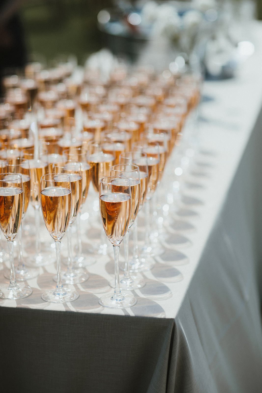 Tide-The-Knot-Wedding-Planning-Boconnoc-Estate-Wedding-Estate House-Partial Planning-Allie+Eden-Ash-Powell-Photography0360.jpg