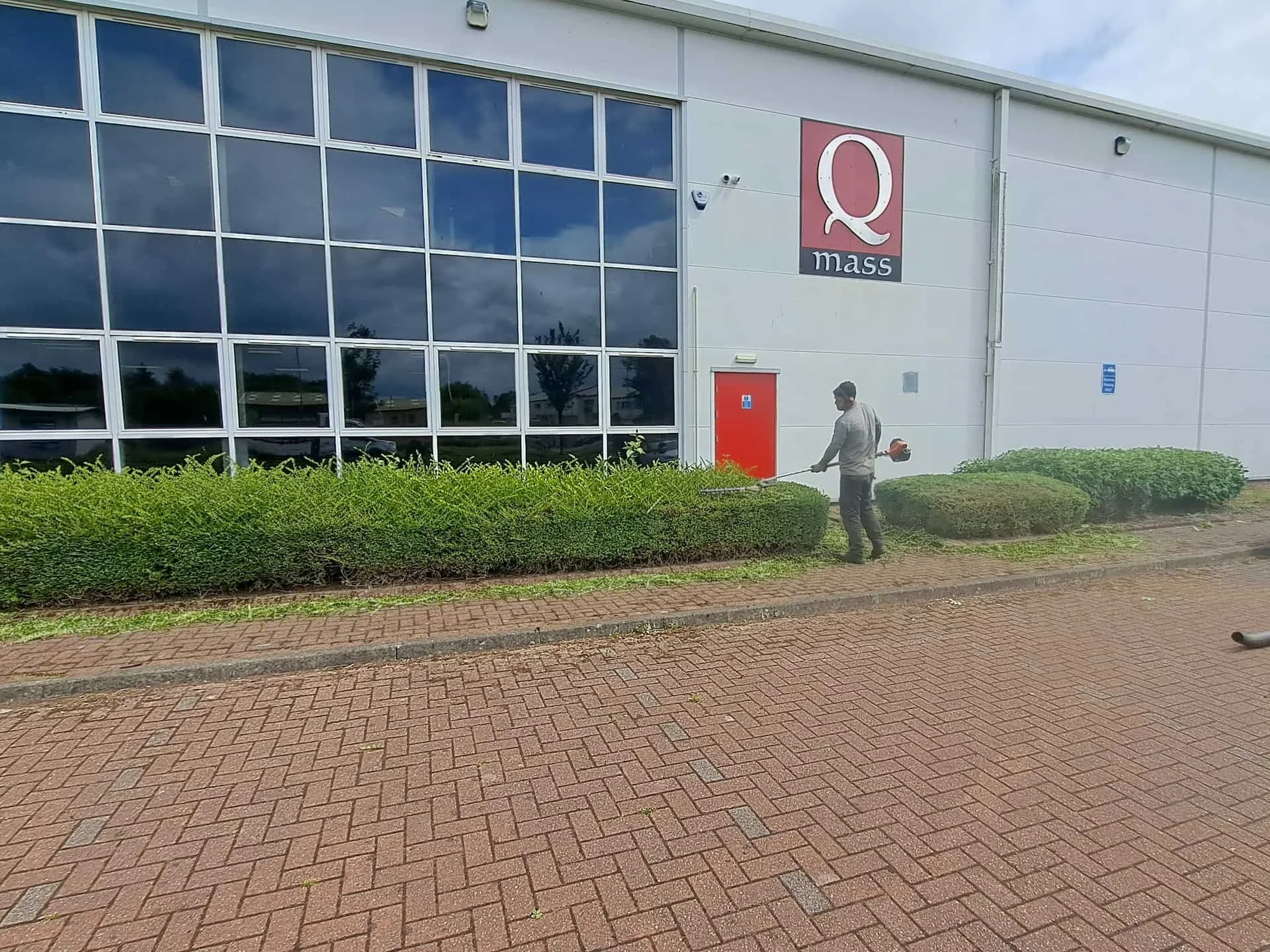 A man is trimming bushes with a leaf blower outside a large building with a sign that reads 'Q mass' above a red door.