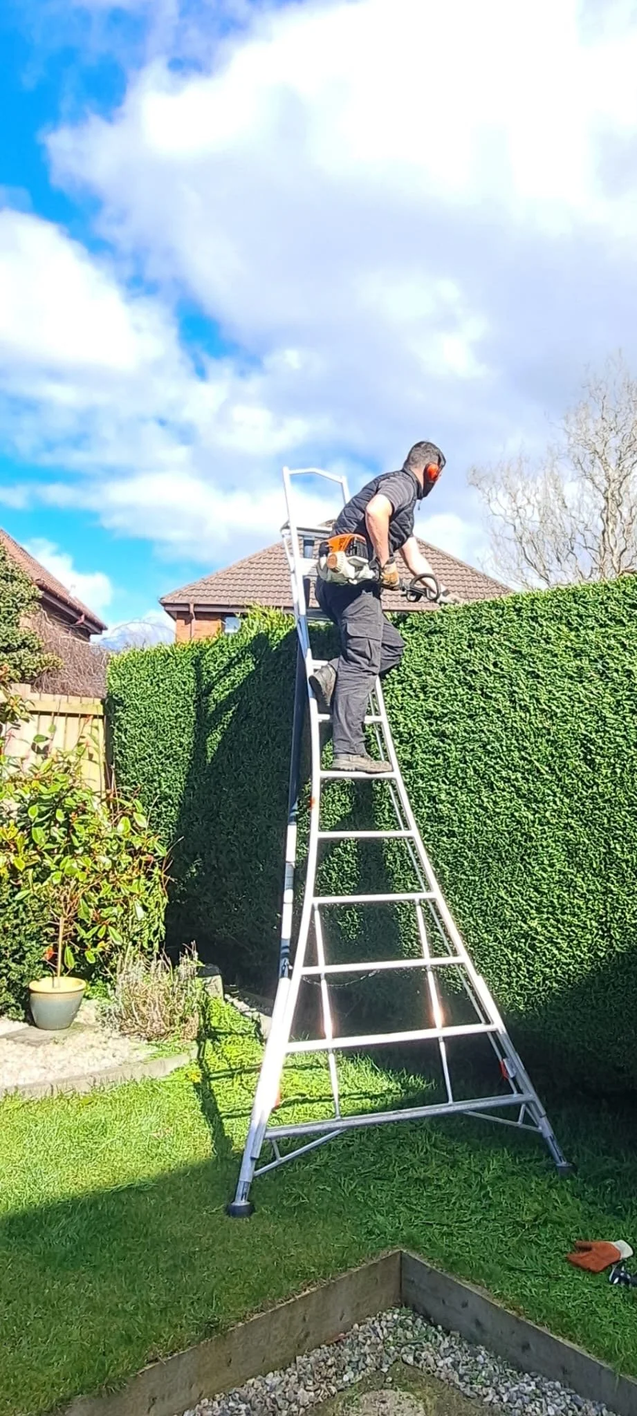 A worker using a chainsaw on top of a ladder in a backyard with a tall green hedge, a potted plant, and a wheelbarrow gloves, with a house and trees in the background under a partly cloudy sky.