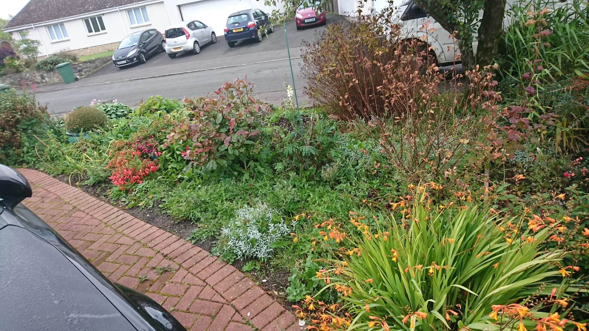 A neatly maintained garden bed with various green plants, flowers, and shrubs along a brick-paved sidewalk, with parked cars and residential buildings in the background.