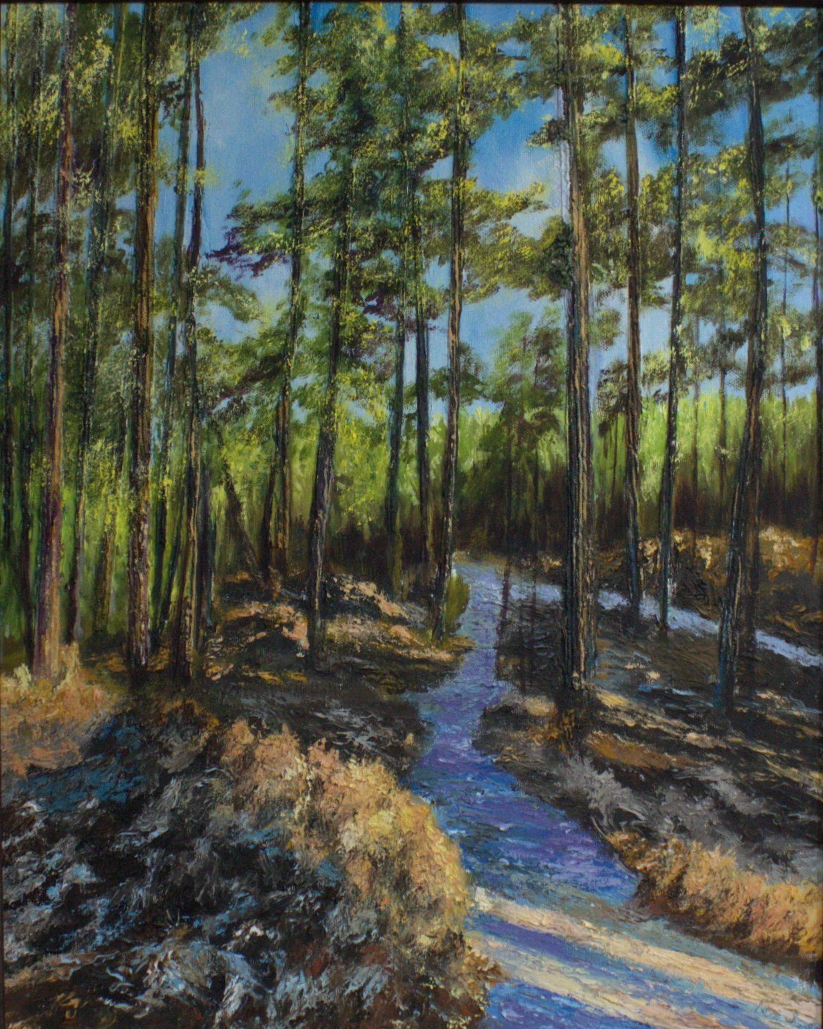 Aspley Woods.jpg